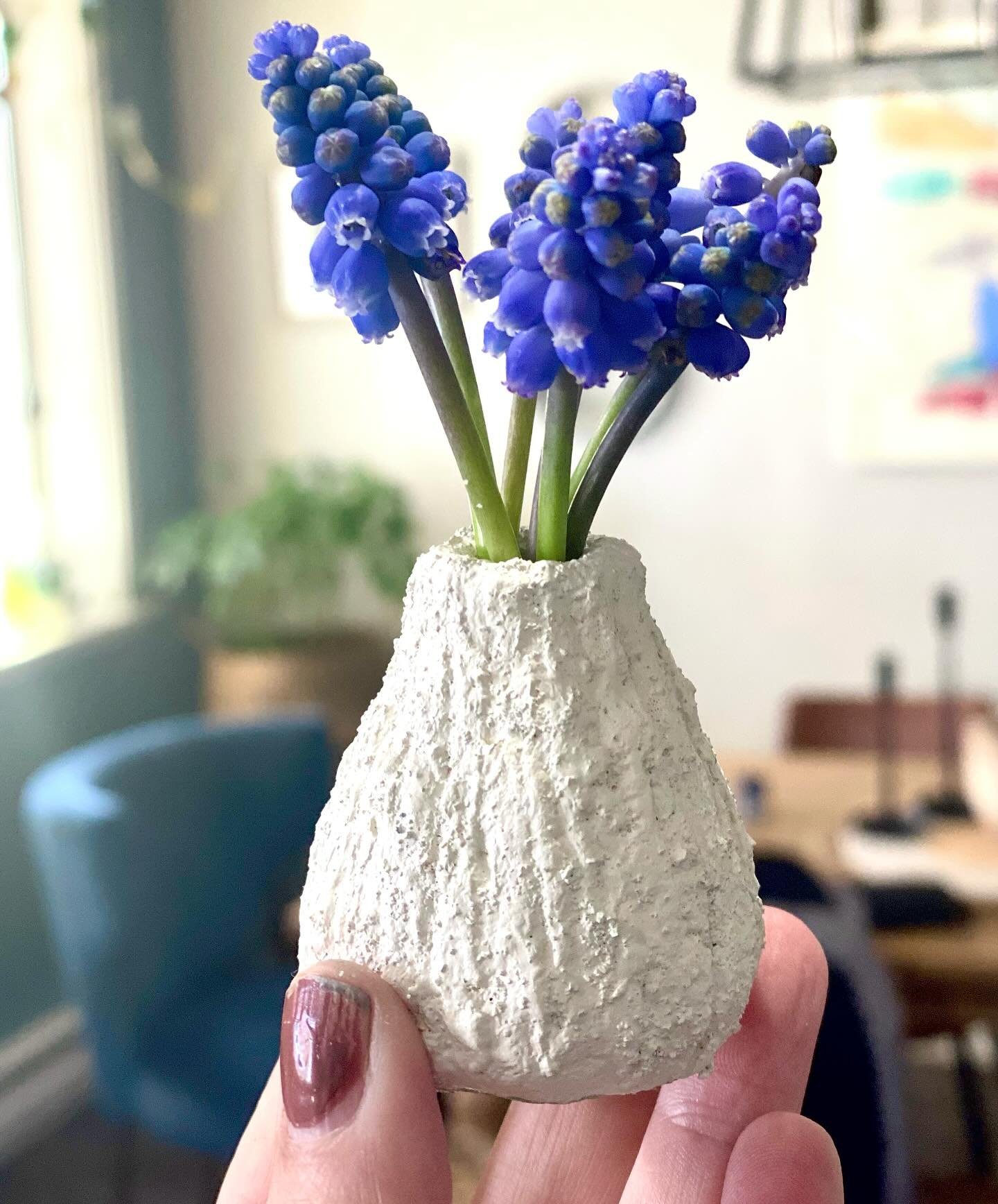 Worlds colliding 🌏
A paper m&acirc;che bud vase I made with grape hyacinths from my garden.