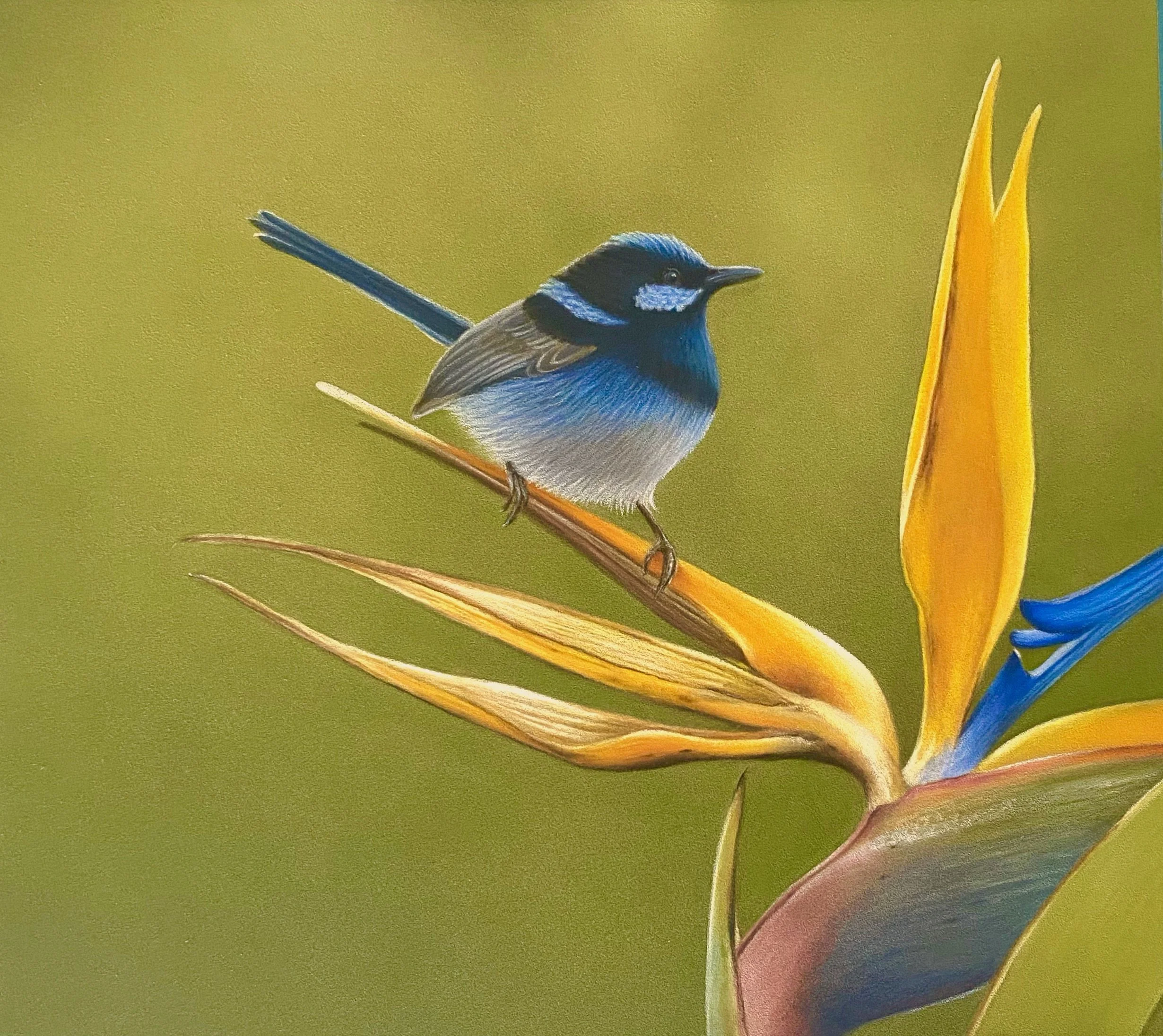 'Blue and Gold' - Pastel Drawing (NEW)