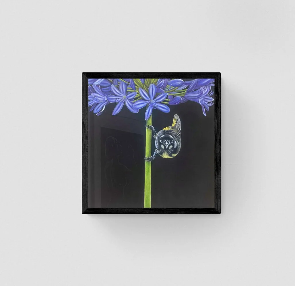 agapanthus.jpg