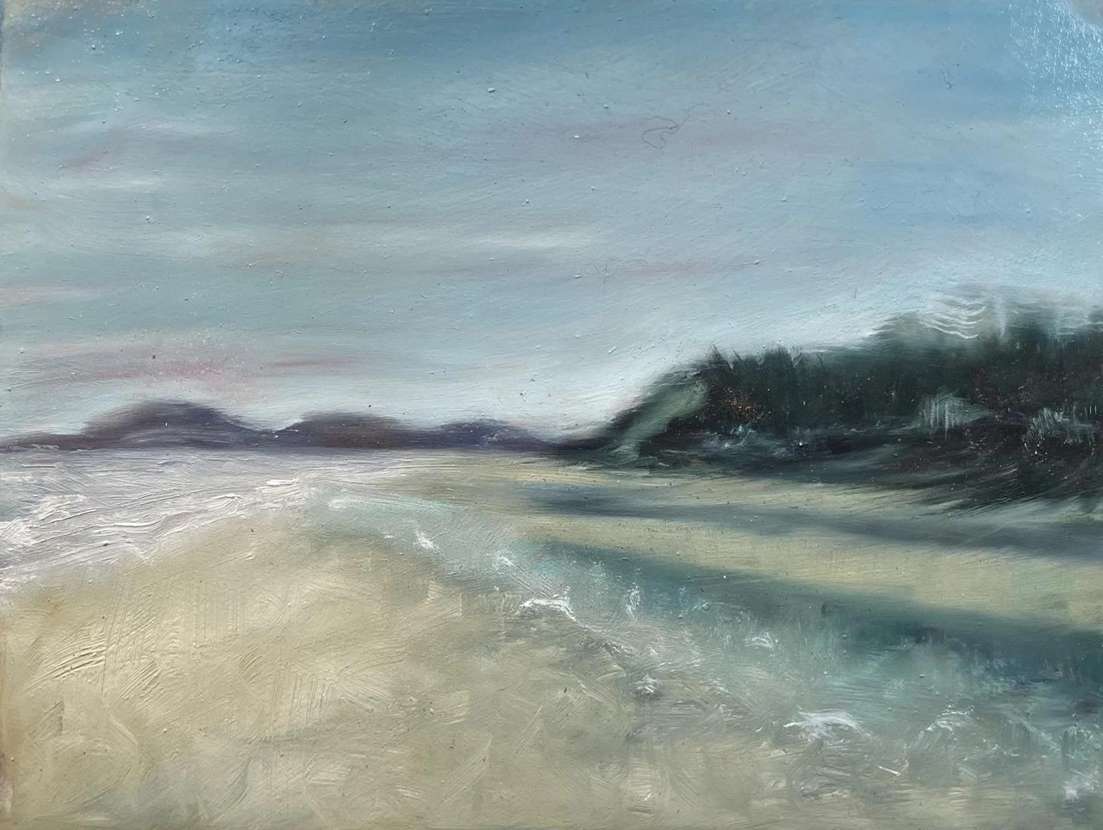 Rocky Point Whidbey Island
Oil Study