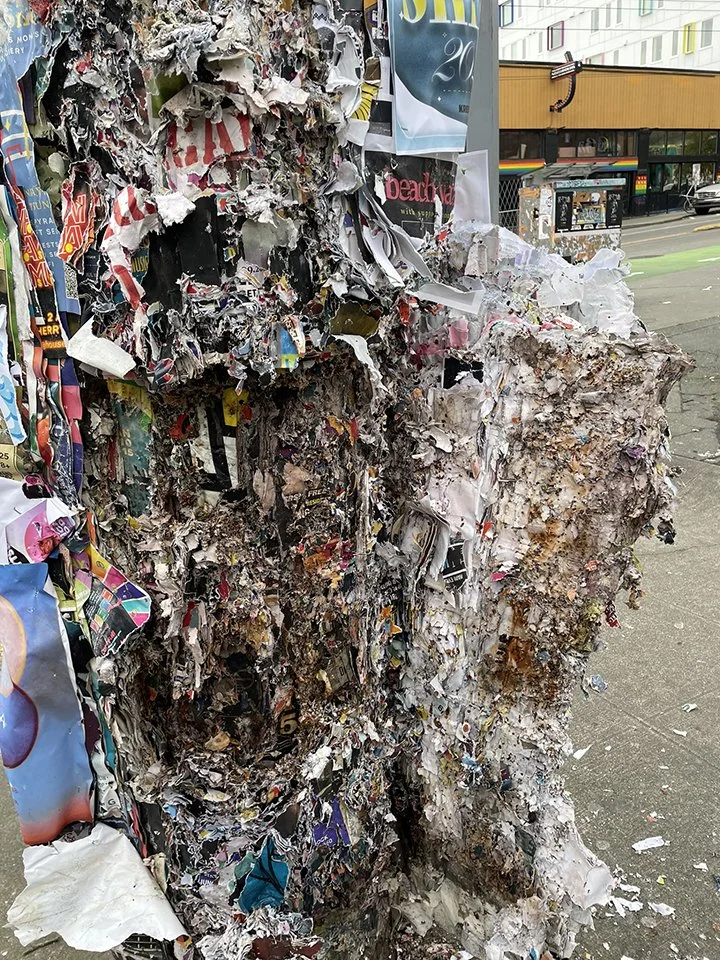 A pole in the middle of a poster harvest, January 2025. 