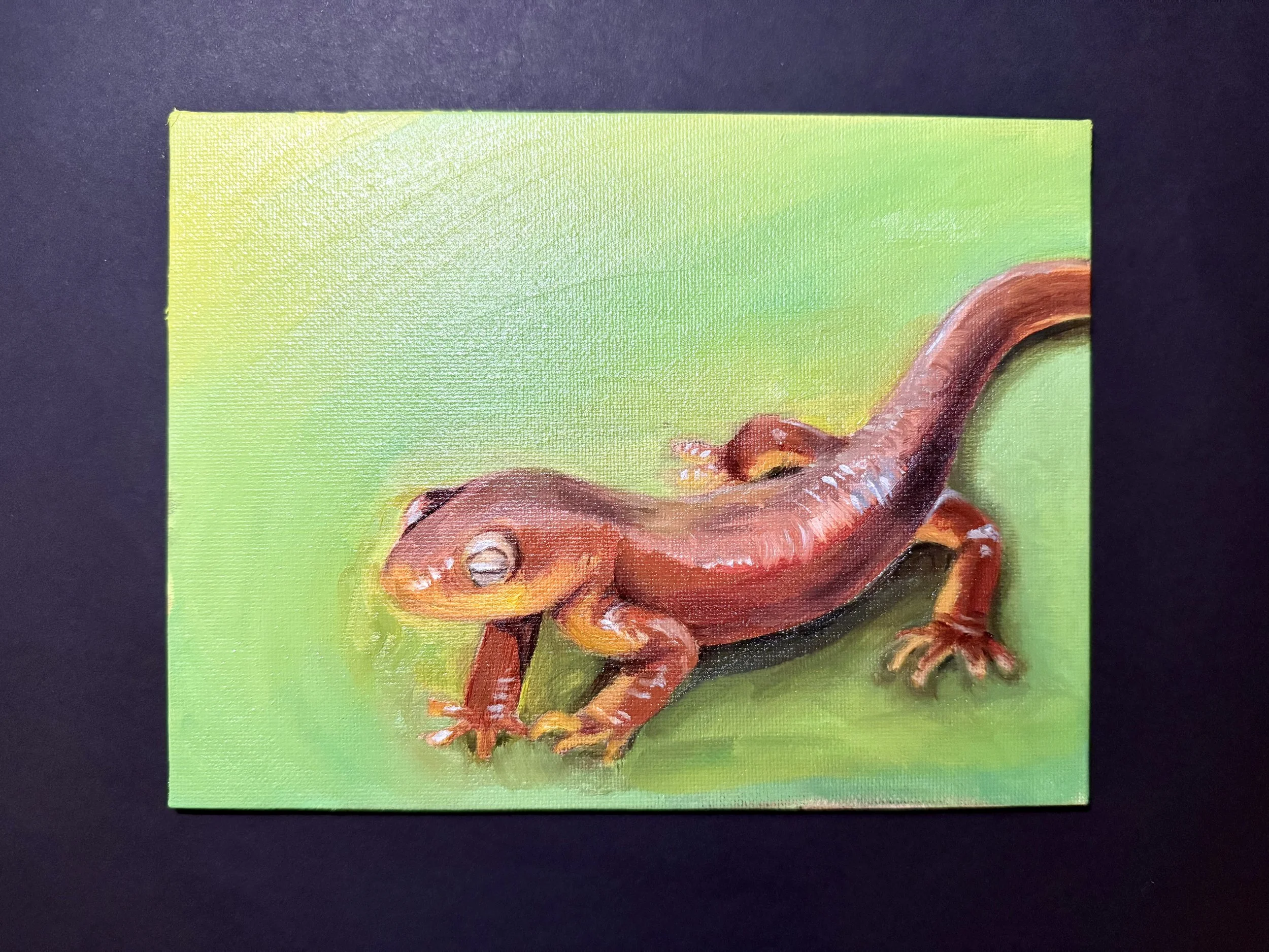 Oil Painting Study: California Newt