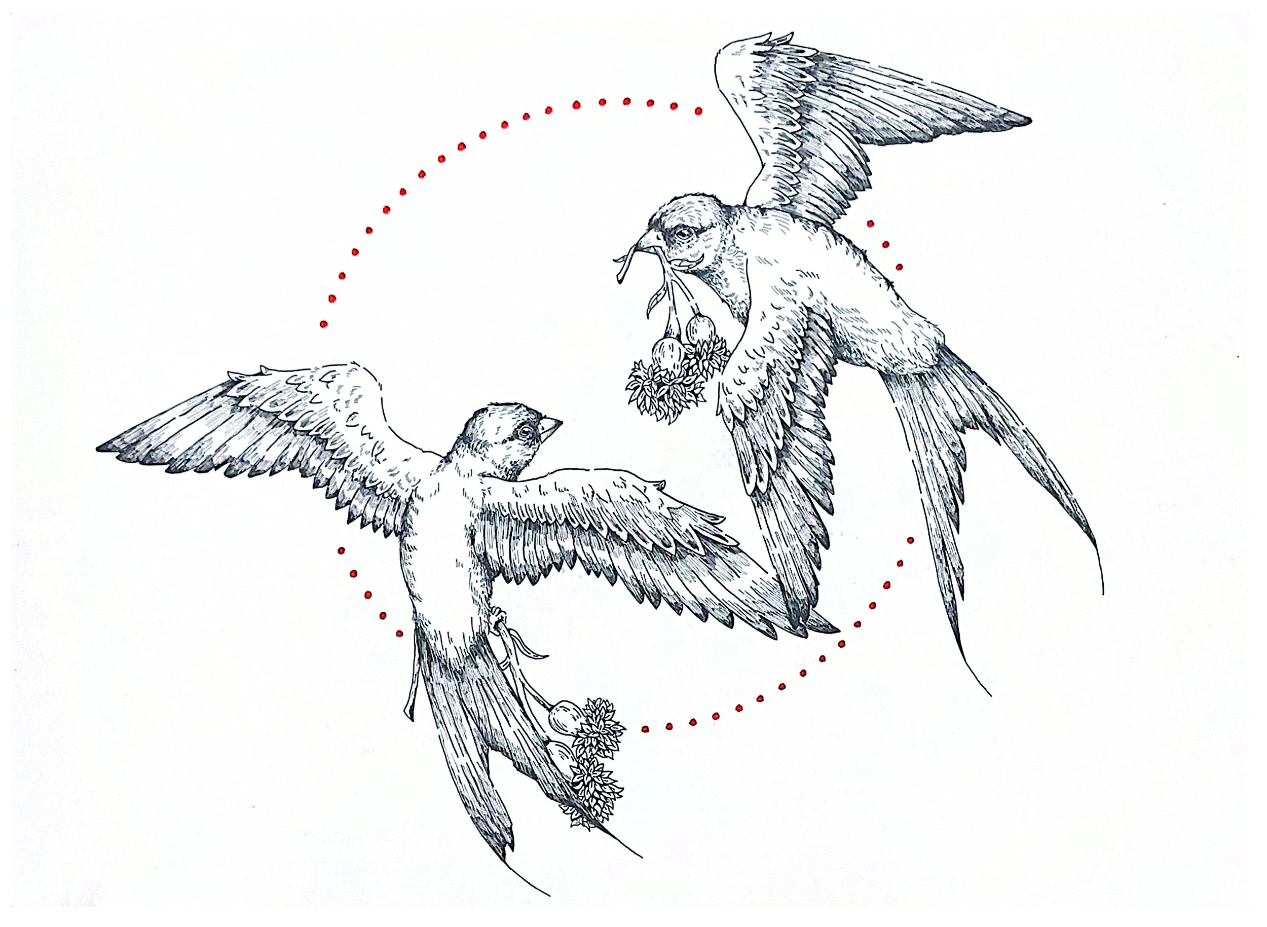 Swallows and Cornflowers