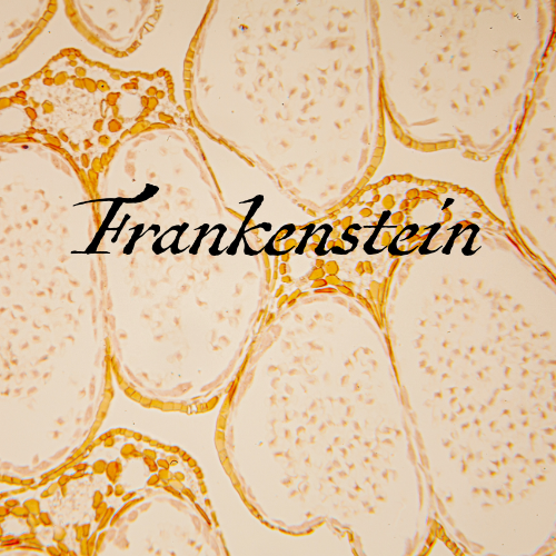 Frankenstein