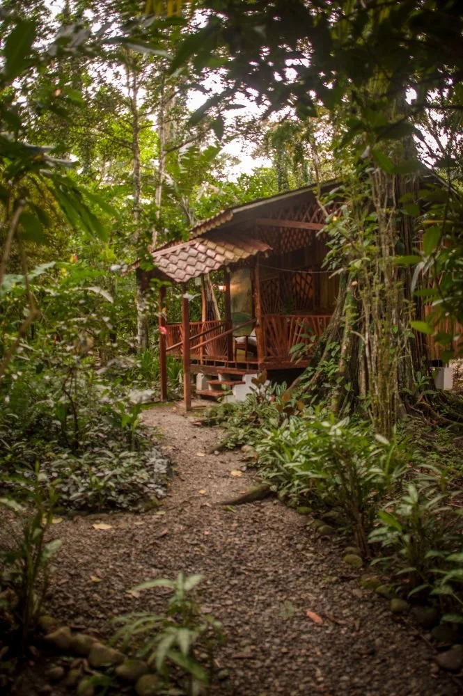 Living spaces immersed in nature, where indoors and outdoors meet.