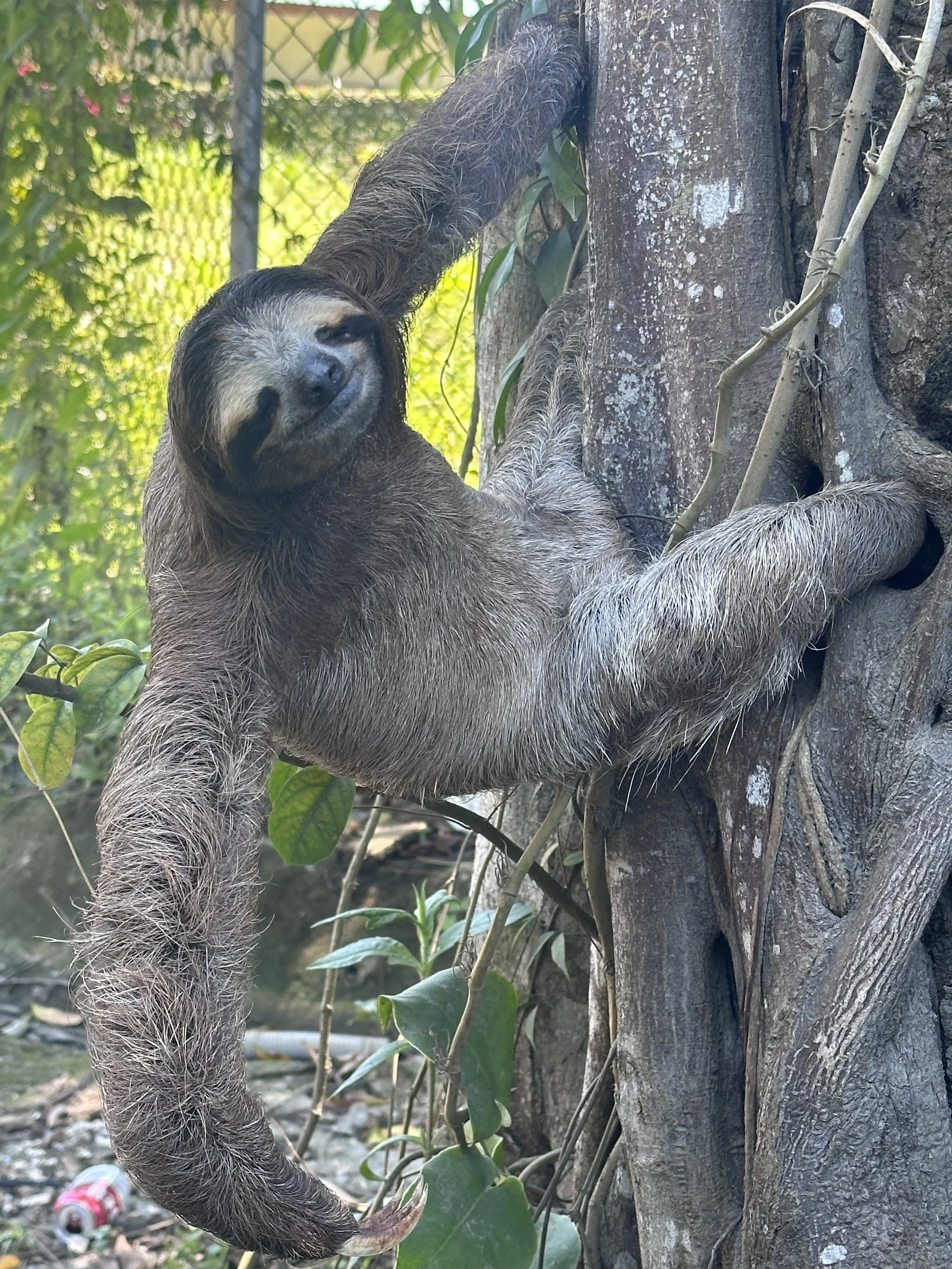 Life here moves differently—slower, softer, more attuned.