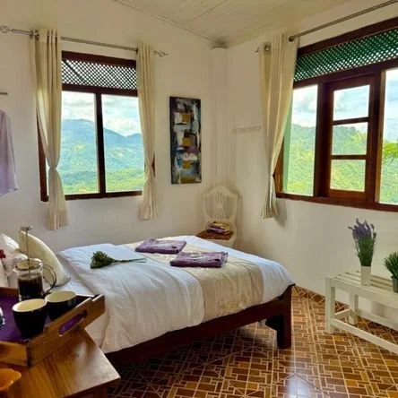 Simple, peaceful guest rooms surrounded by lush nature, offering space for deep rest and integration.