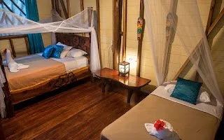 Rest held gently in the quiet embrace of the jungle.