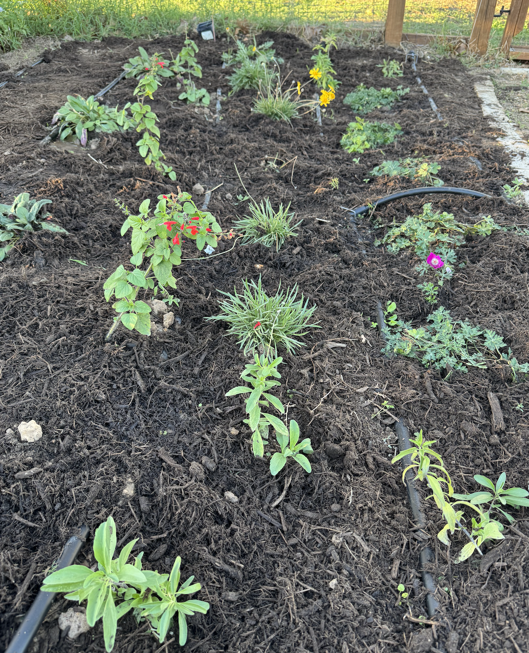 Screenshot 2025-12-24 at 1.15.06 PM.png