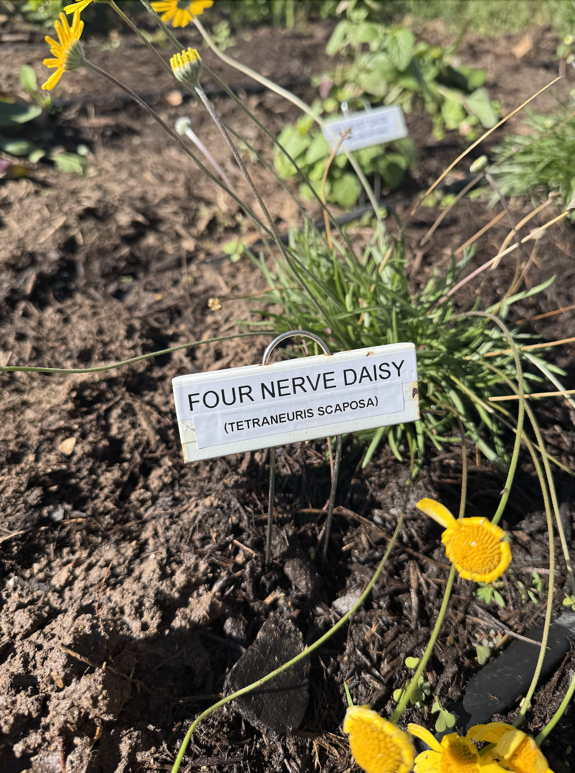 Screenshot 2025-12-24 at 1.15.18 PM.png