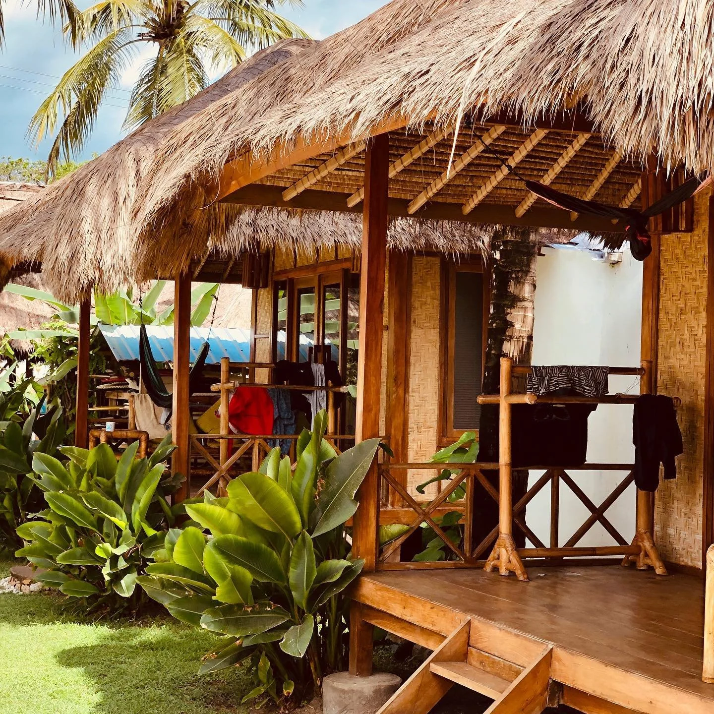 [image] - 9805882.jpeg