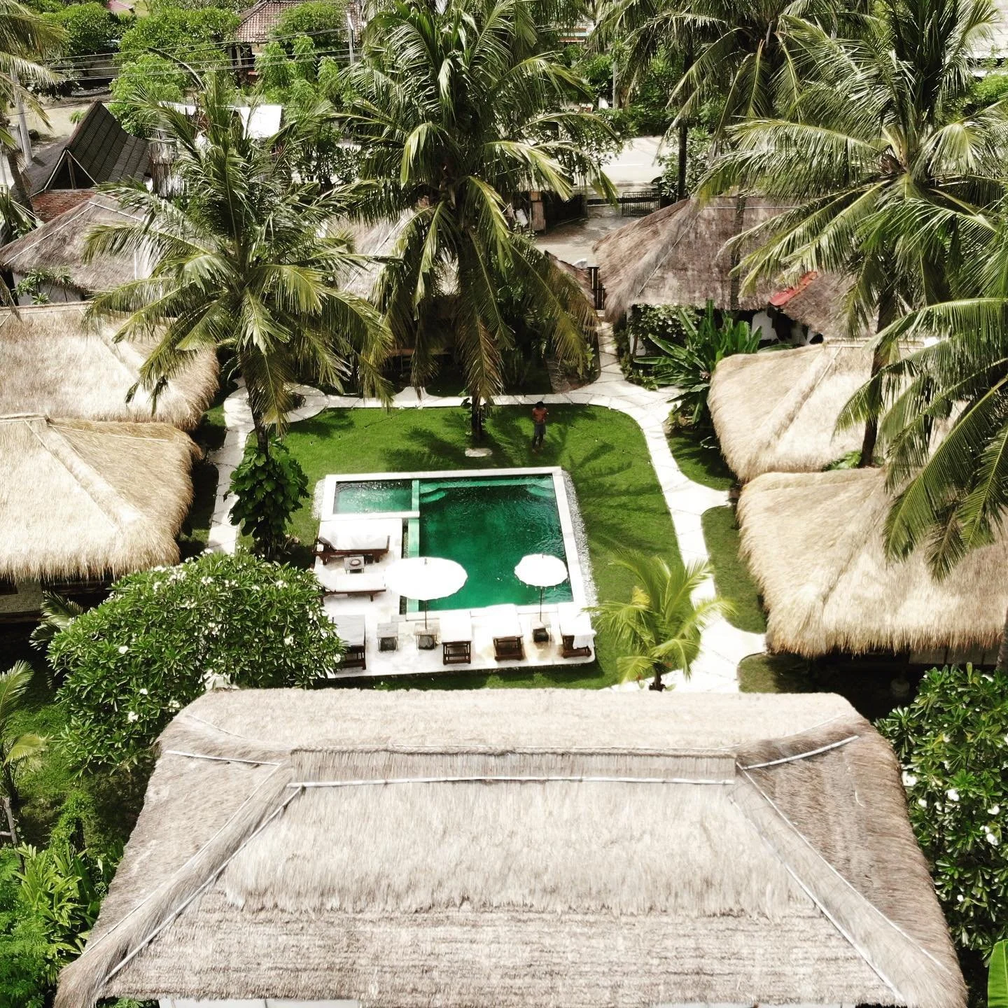 [image] - 6685528.jpeg