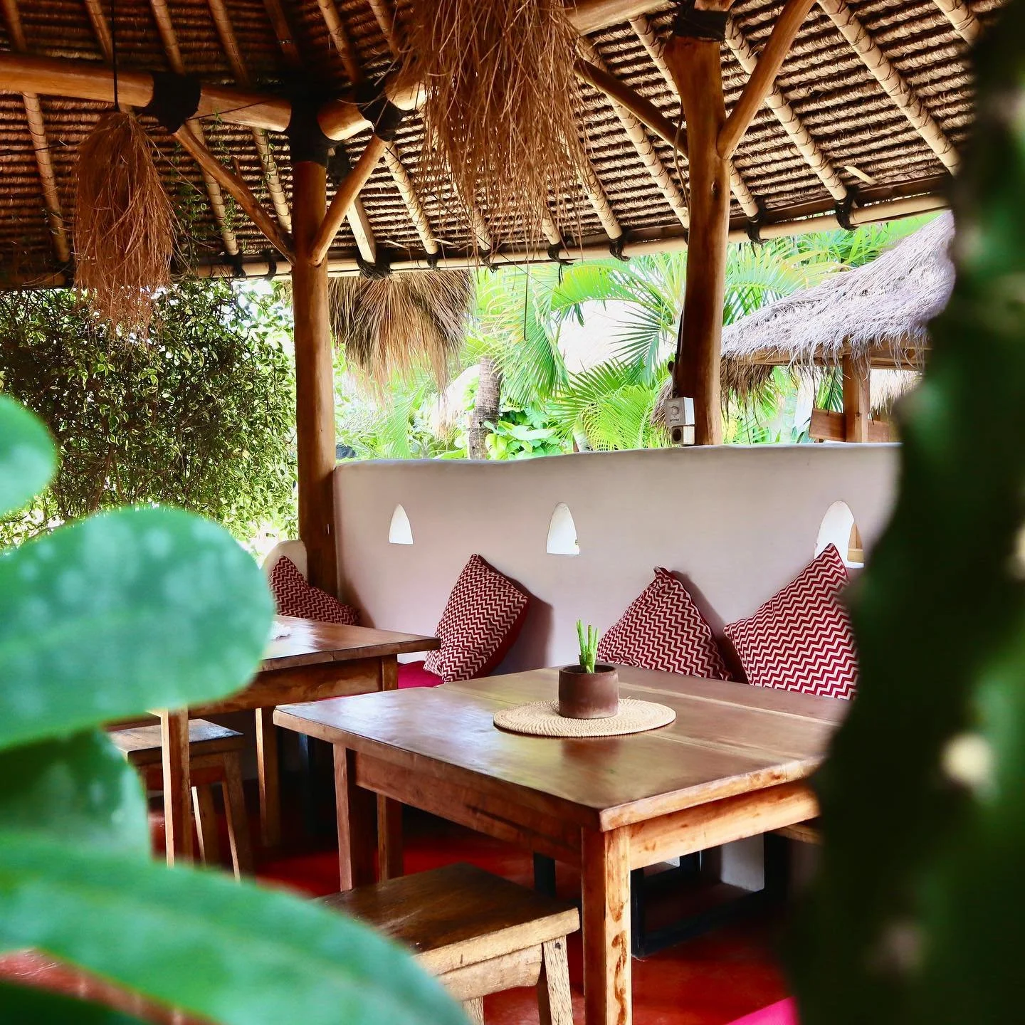 [image] - 4920209.jpeg