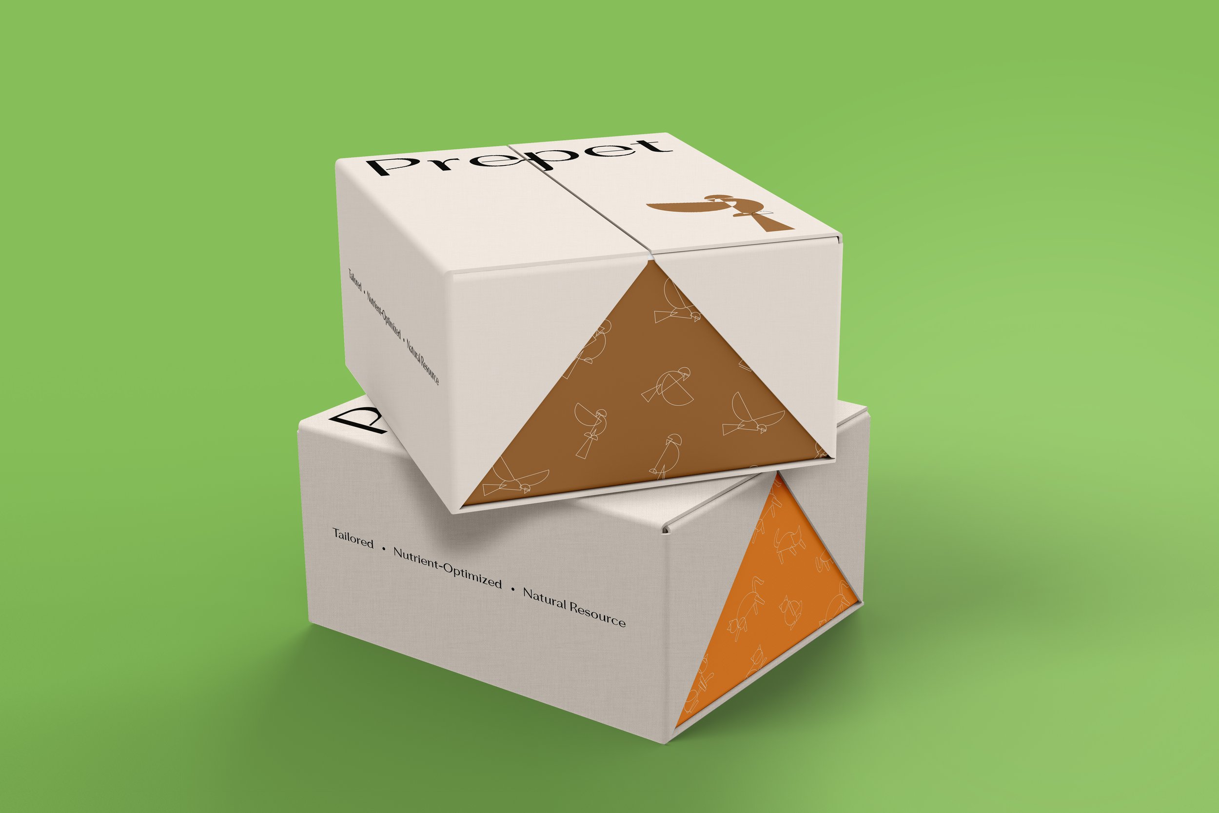 Outside Package Mockup-2 copy.jpg