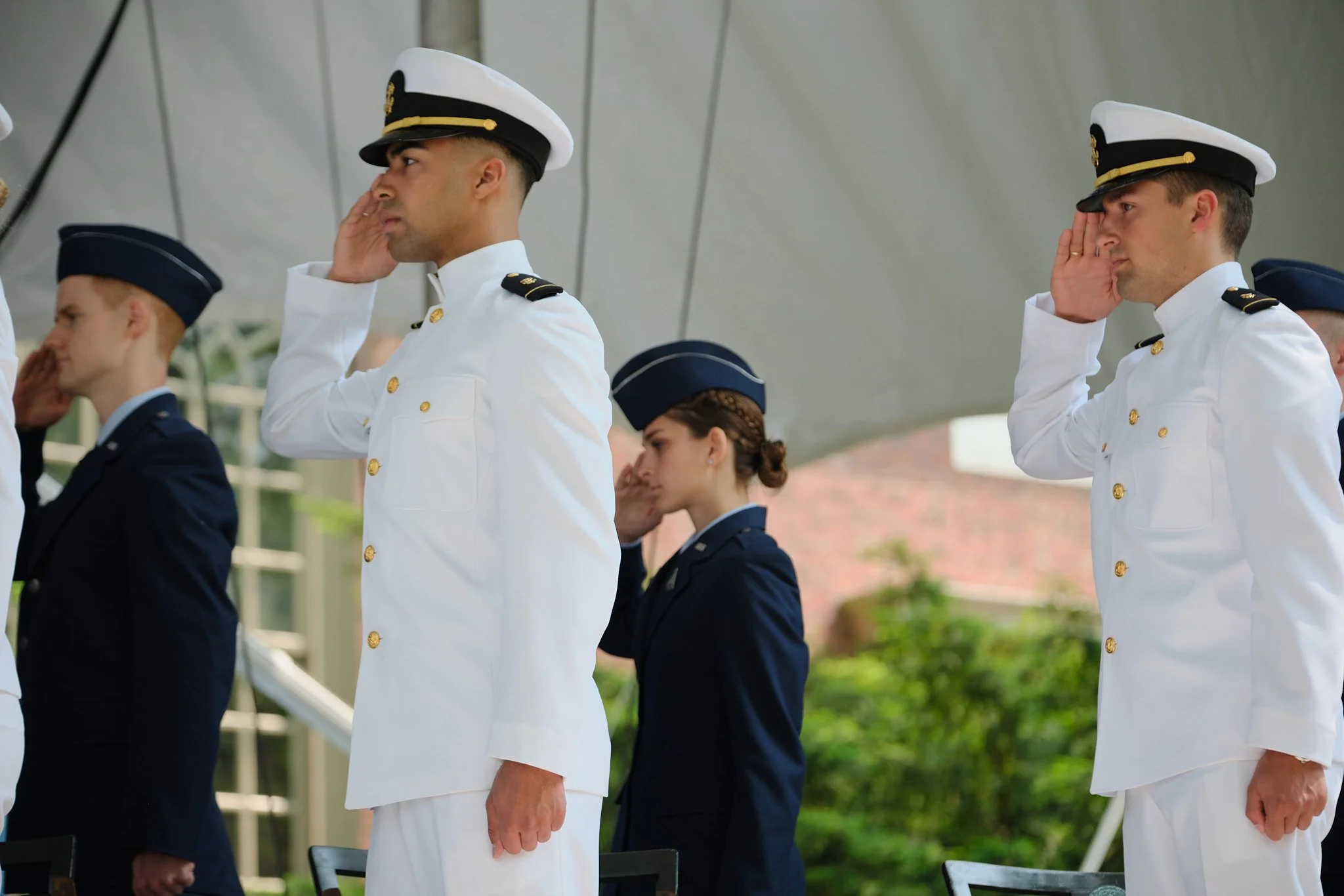 Portfolio Pic 29.jpg