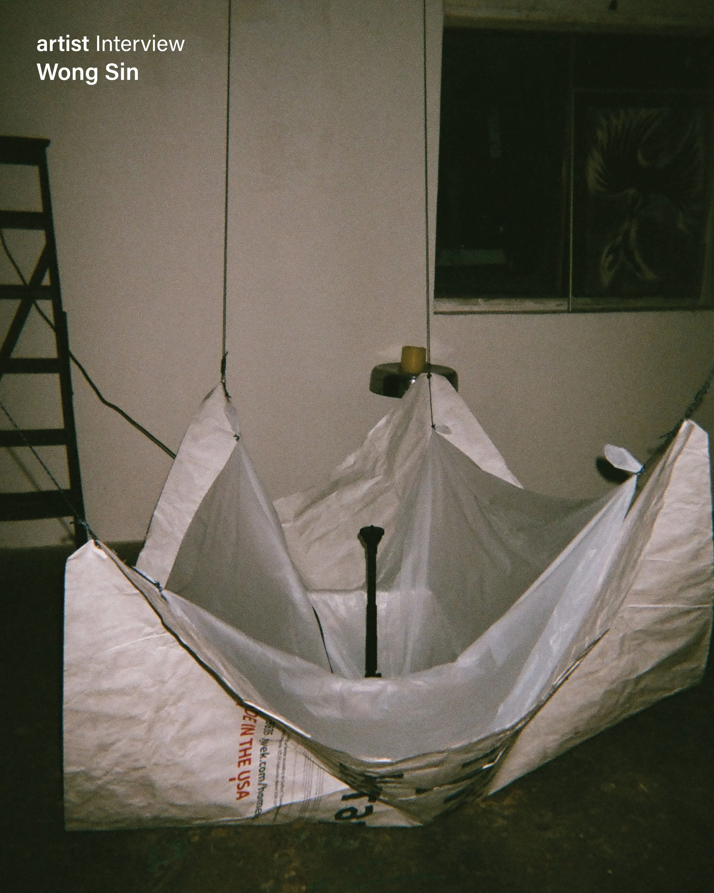 wong sin-08.jpg