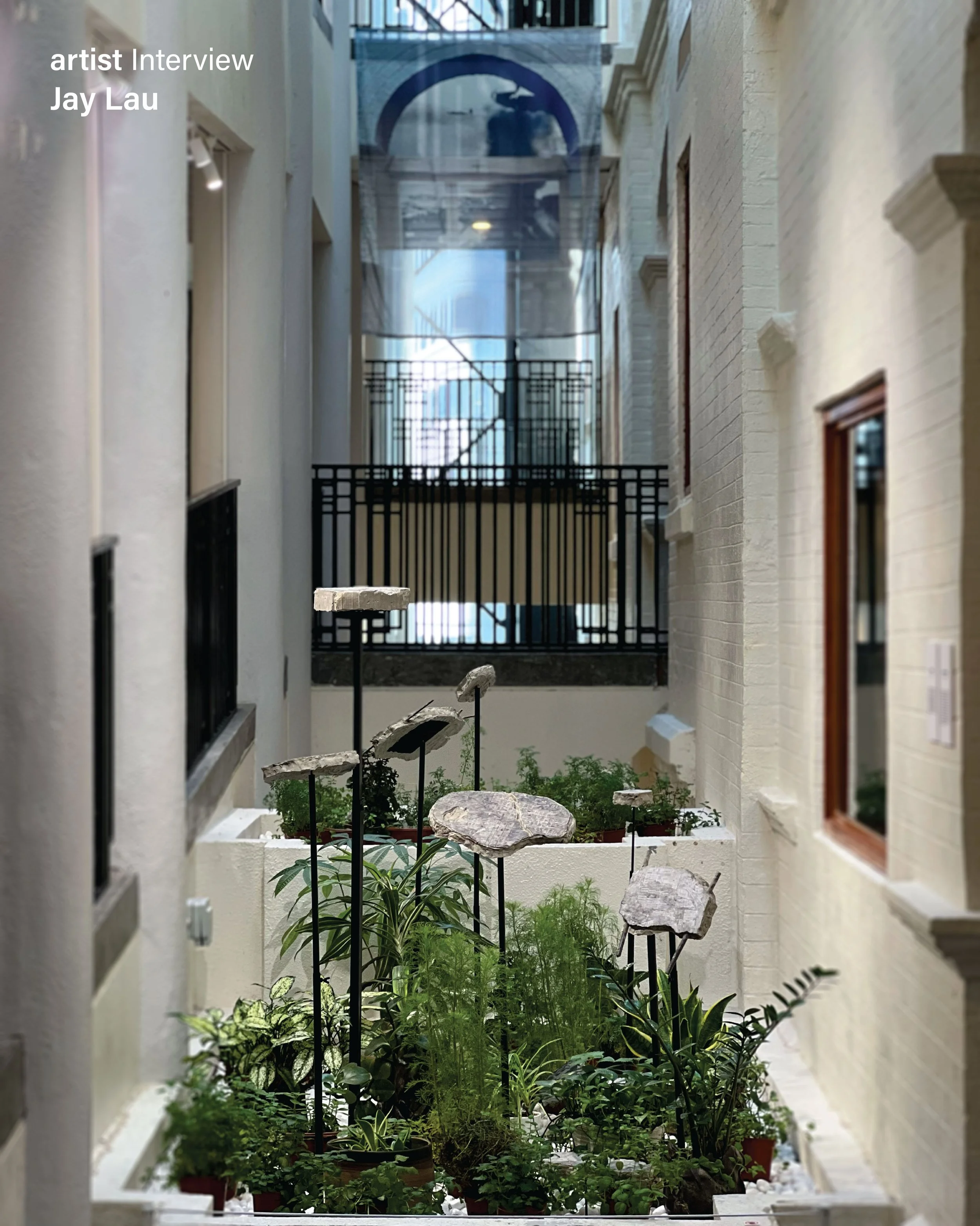 jay lau VAC-09.jpg