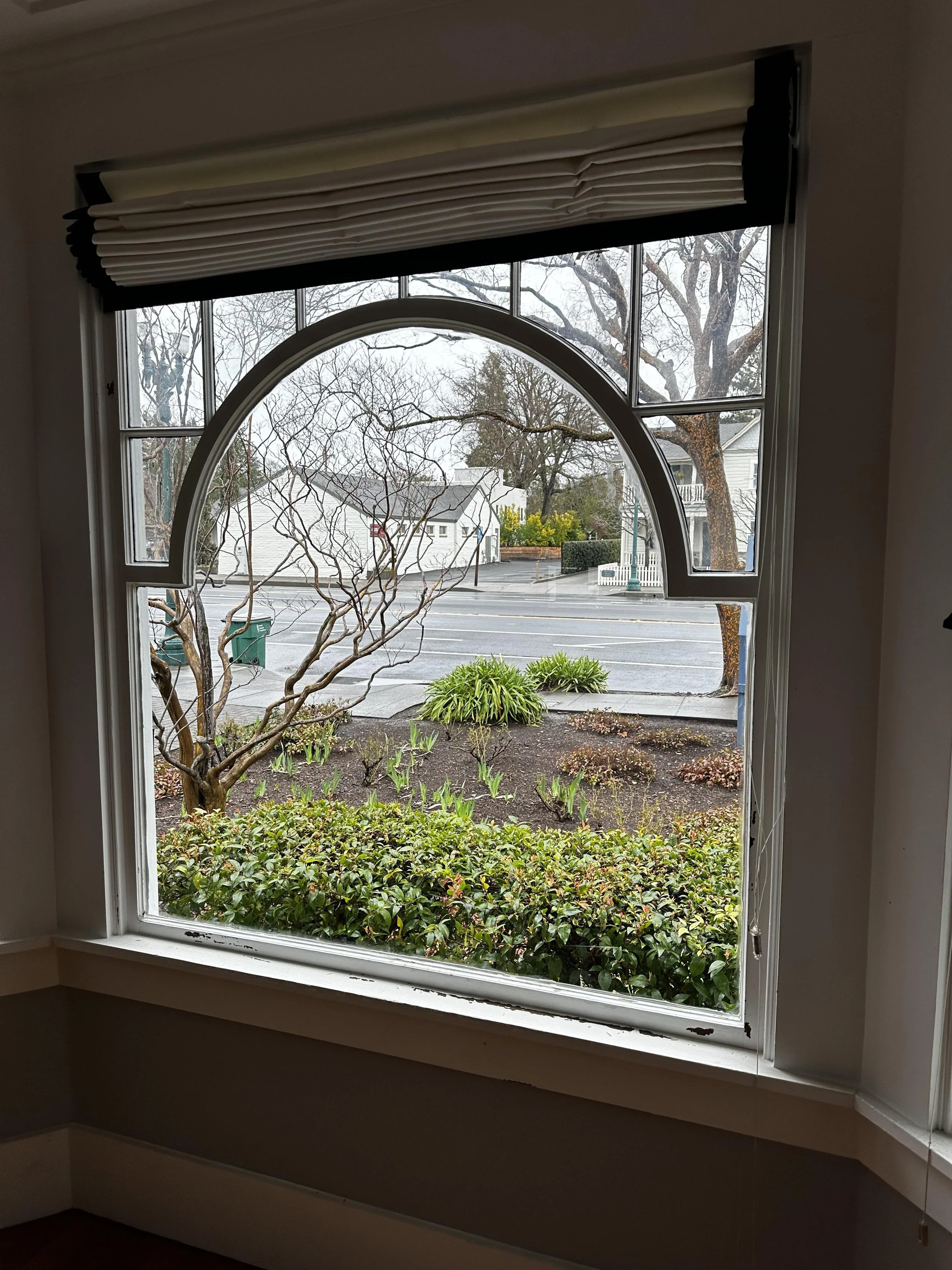 Picture Window