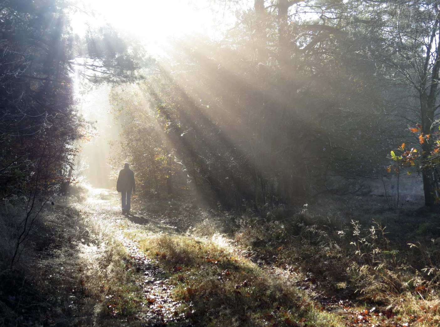 Why Traditional Grief Counseling Doesn’t Work for Everyone