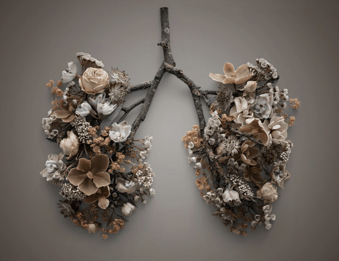 Transform Your Wellbeing With San Diego Breathwork Practices