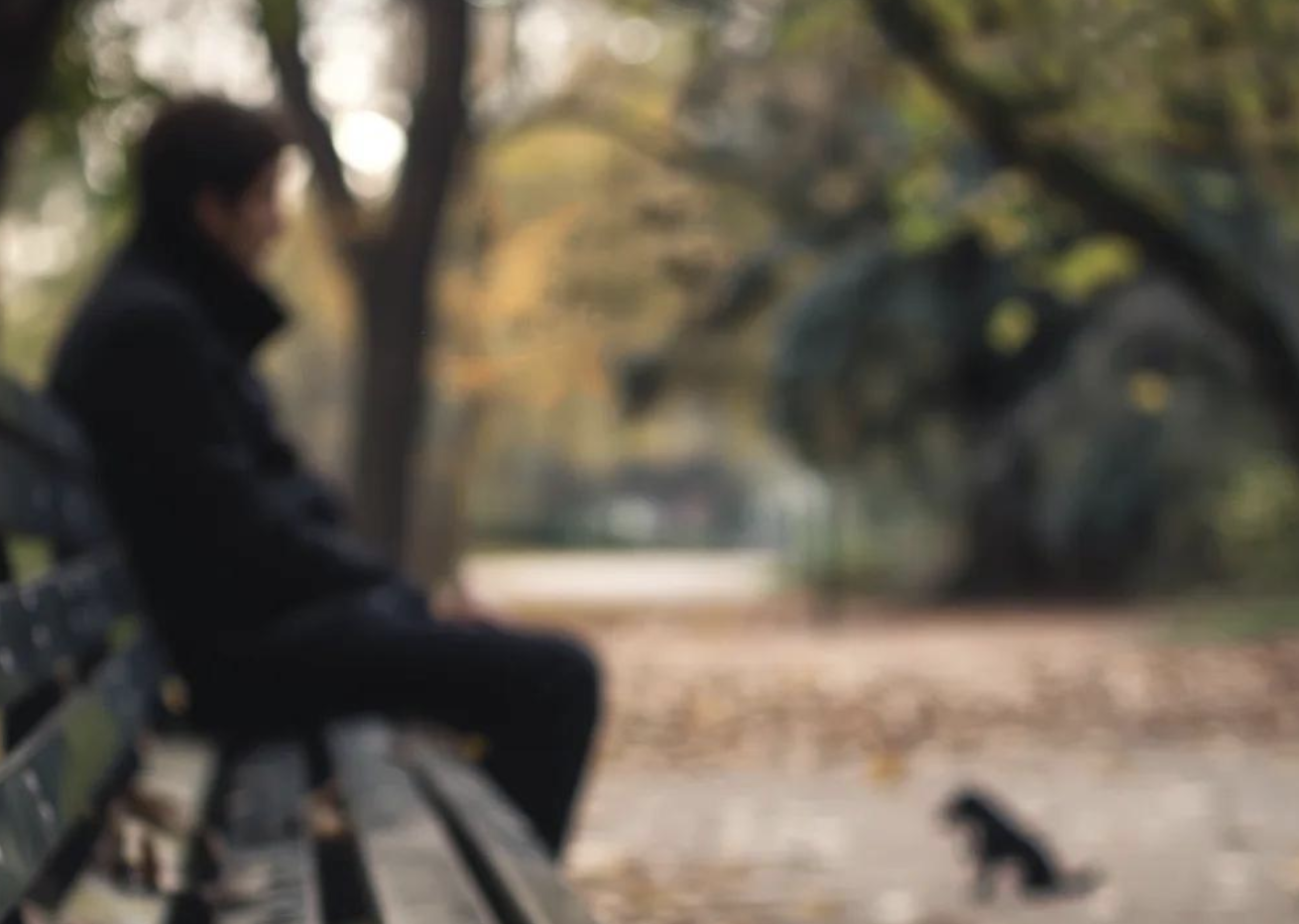 Pet Loss Therapy: Comprehensive Support and Healing for Grieving Pet Owners