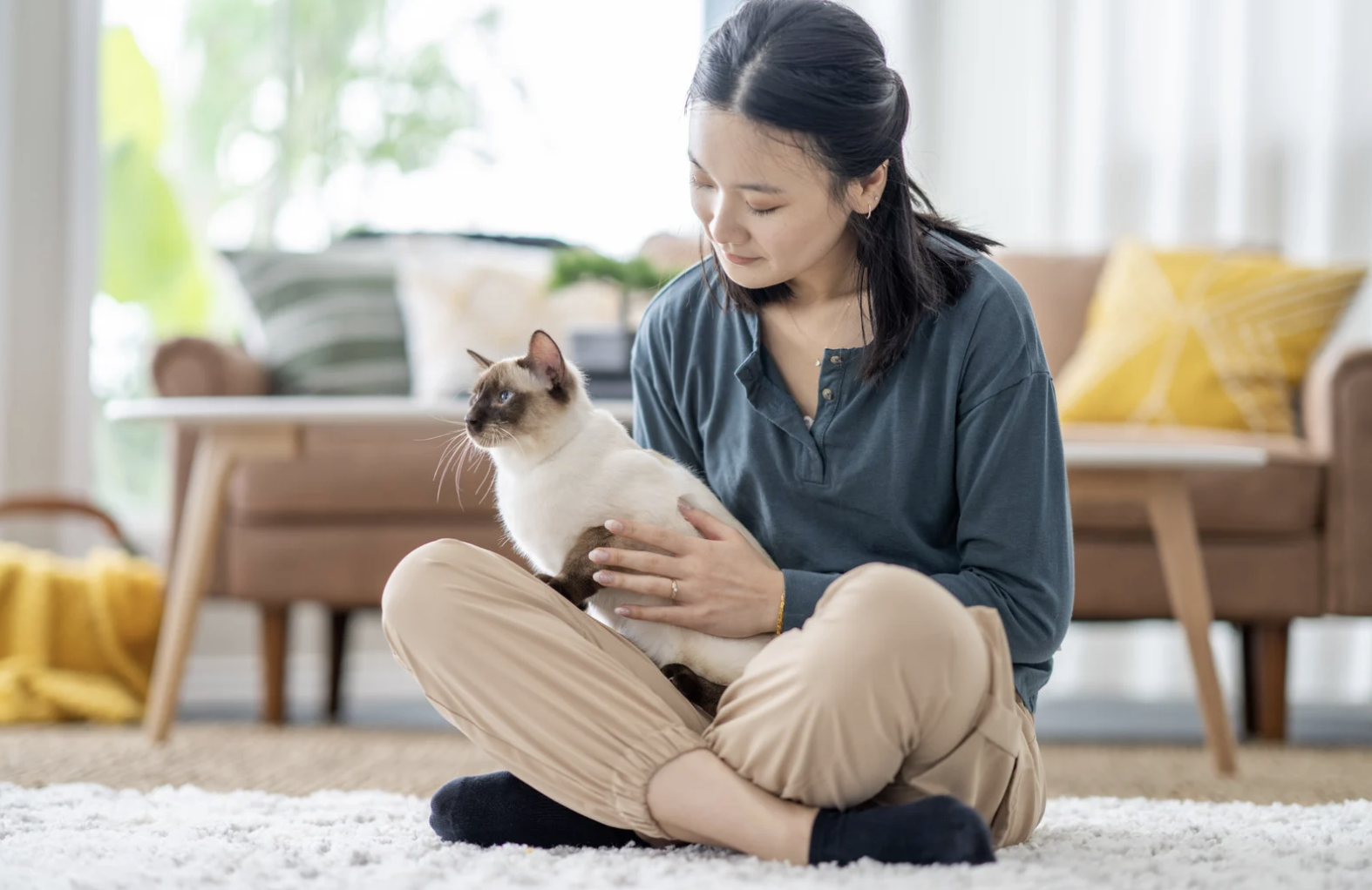 What to Do After Your Pet Dies: Pet Bereavement Support and Grief Counseling for Healing