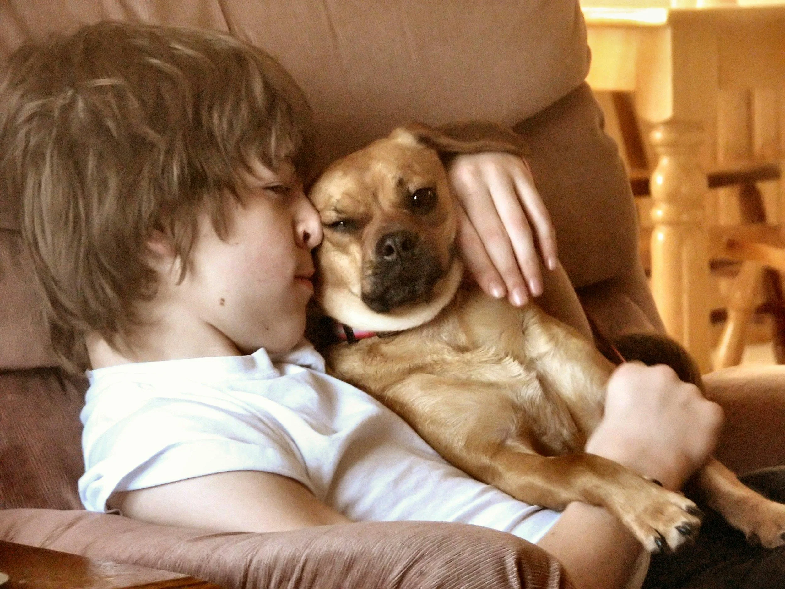boy snuggling his brown dog