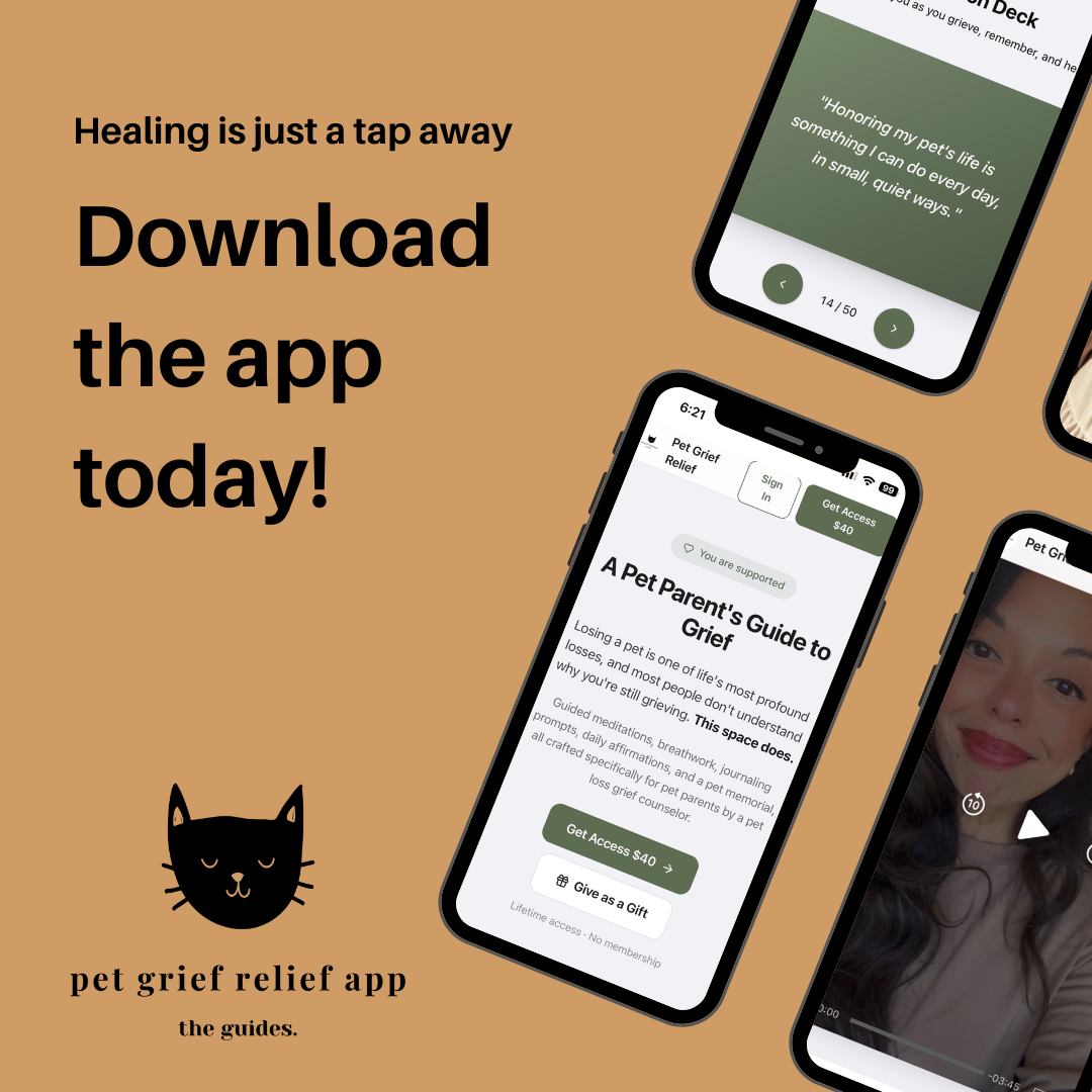 Holistic Pet Grief Counseling: Finding Peace After Loss