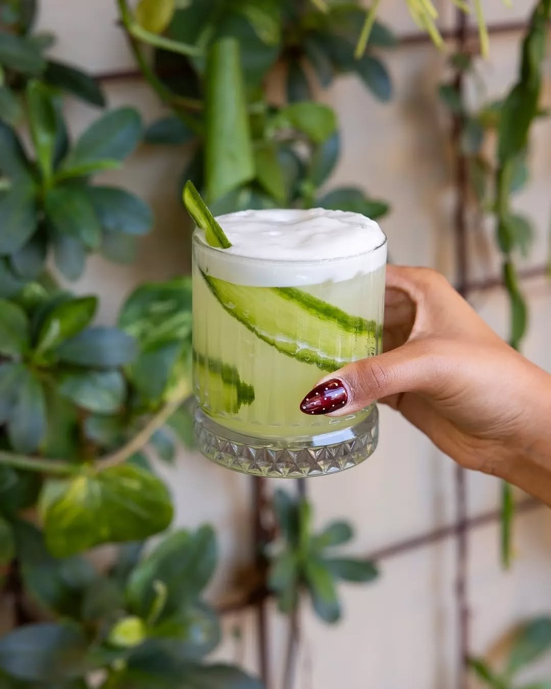 Every great night begins with a great drink.