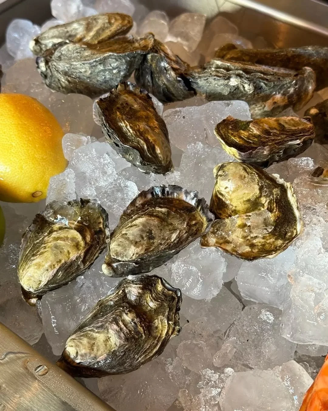 Fancy a glass of Taittinger and 1/2 doz oysters at Fallow for only $49?

🦪 Thursday to Sunday | 5pm