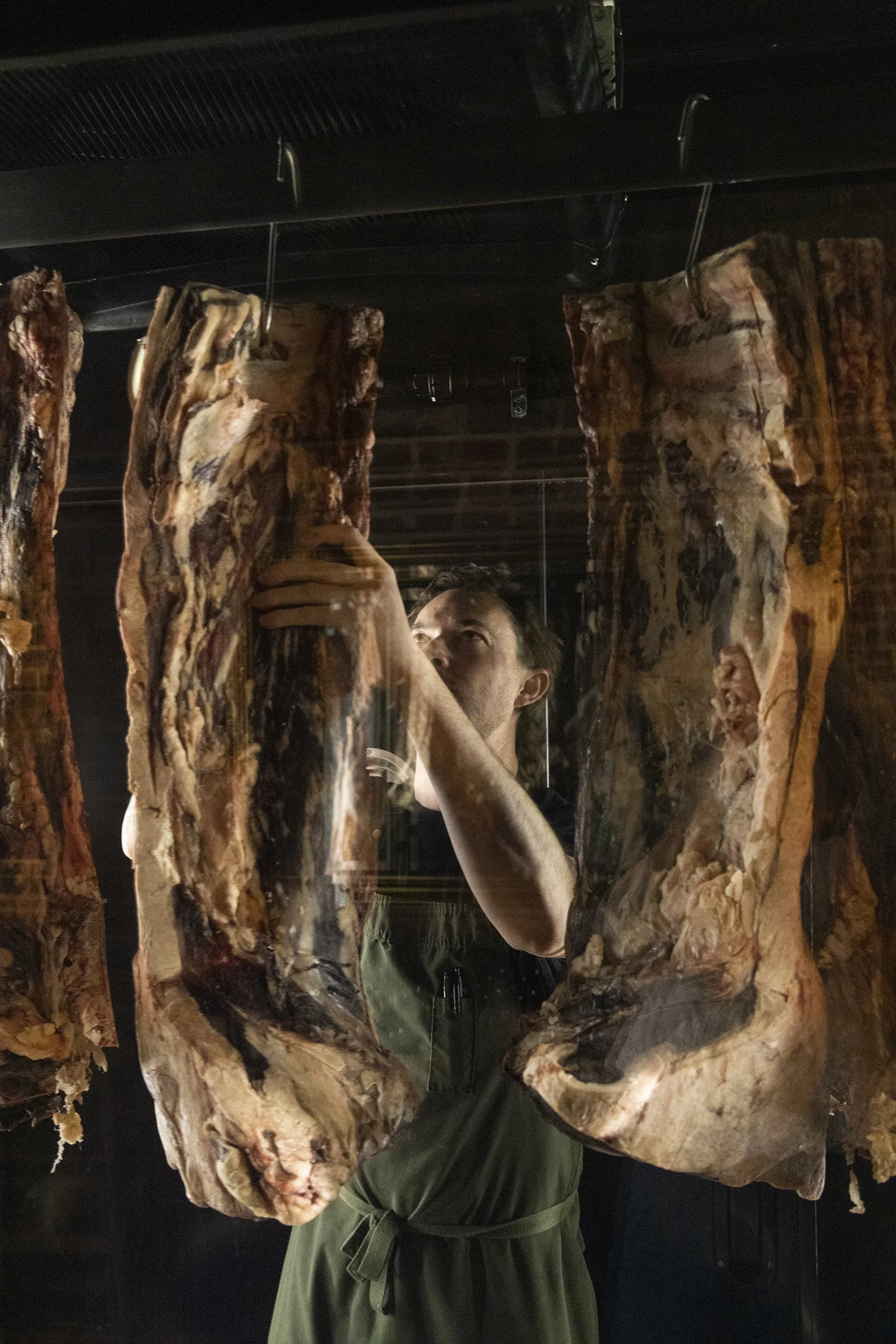 FallowJan25-0060 copy.jpg