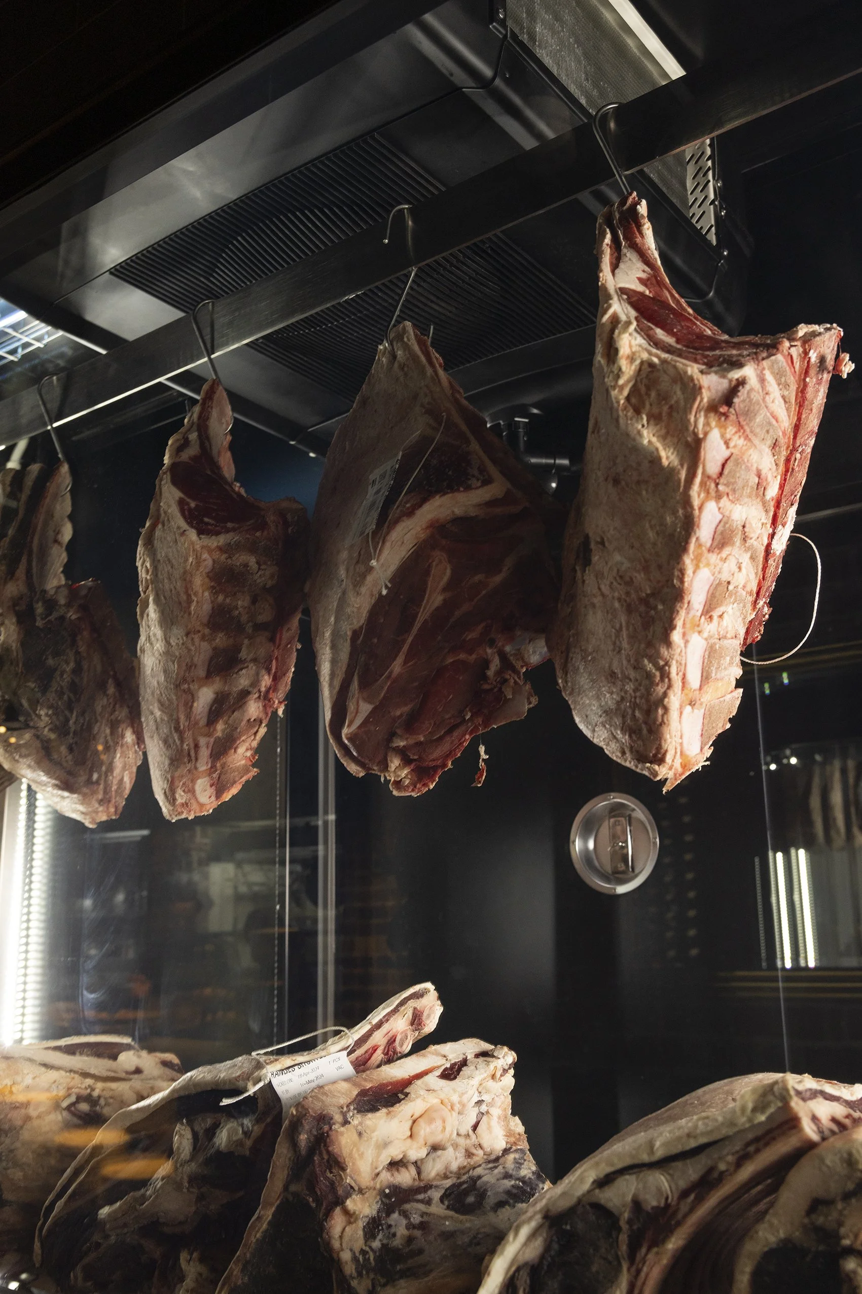 FallowMay24-1288 copy.jpg