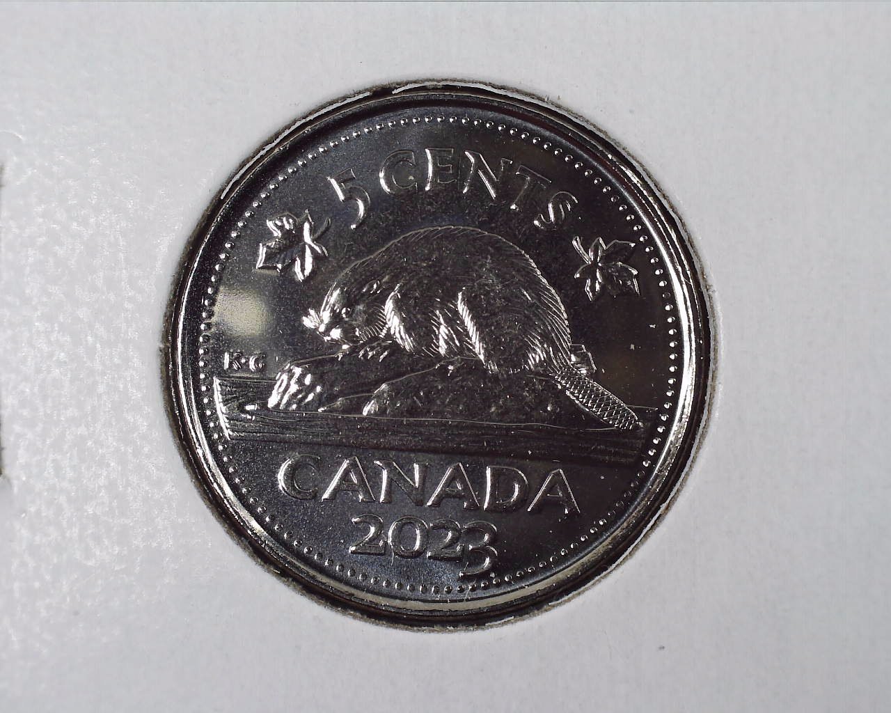 JCCAL 04596B.jpg