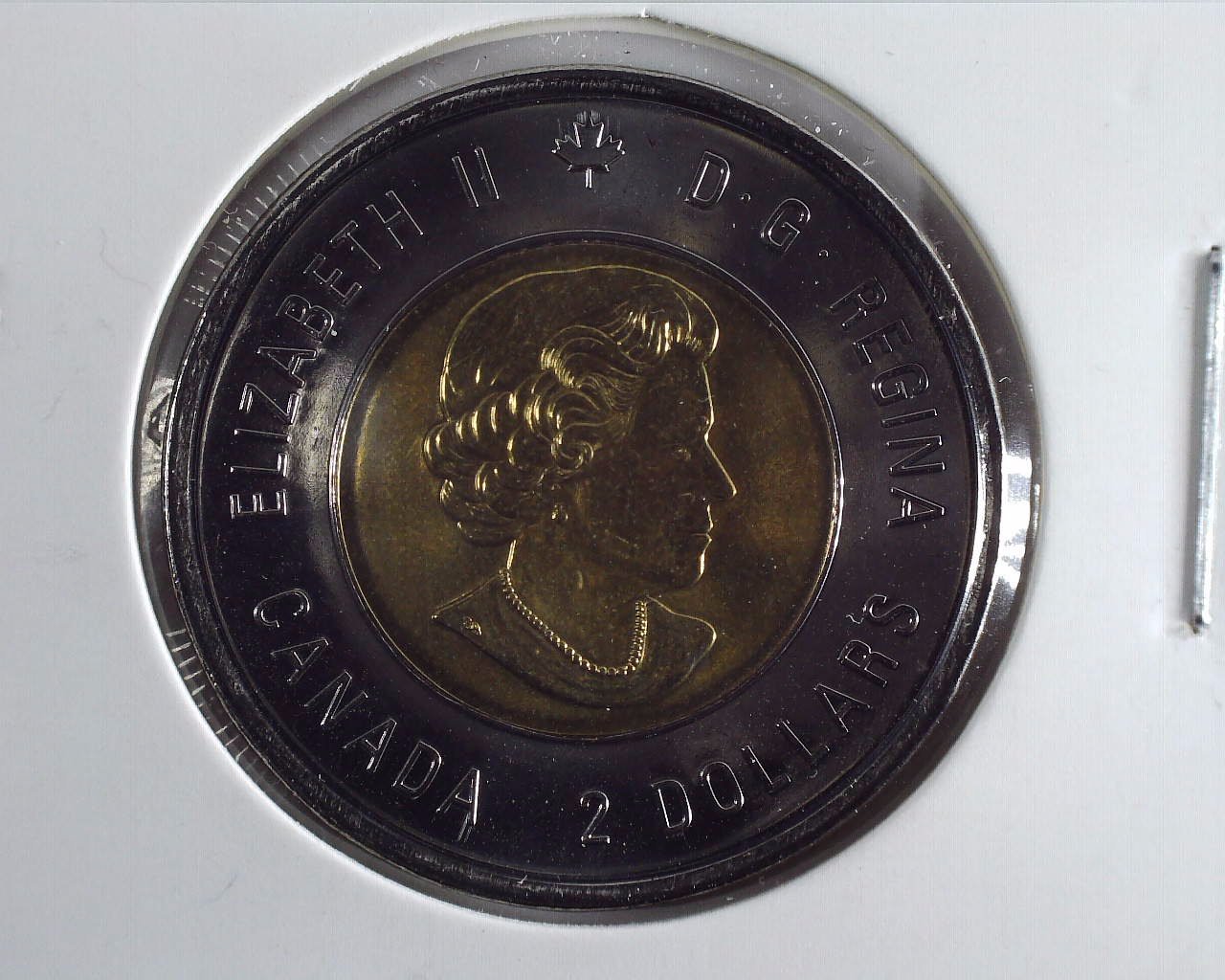 2018 Canadian Toonie