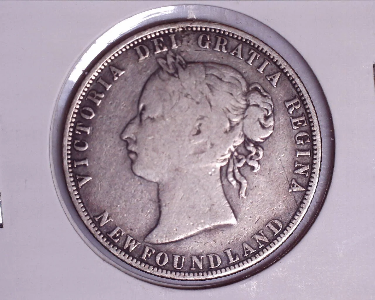 1881 Newfoundland - Half-Dollar