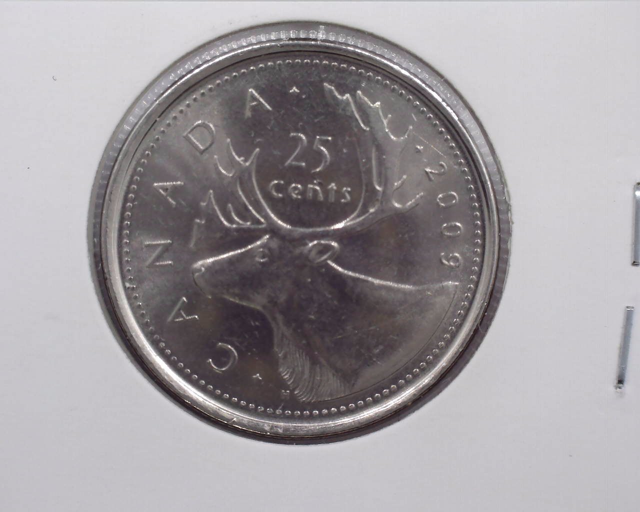 JCCAL 01438B.jpg