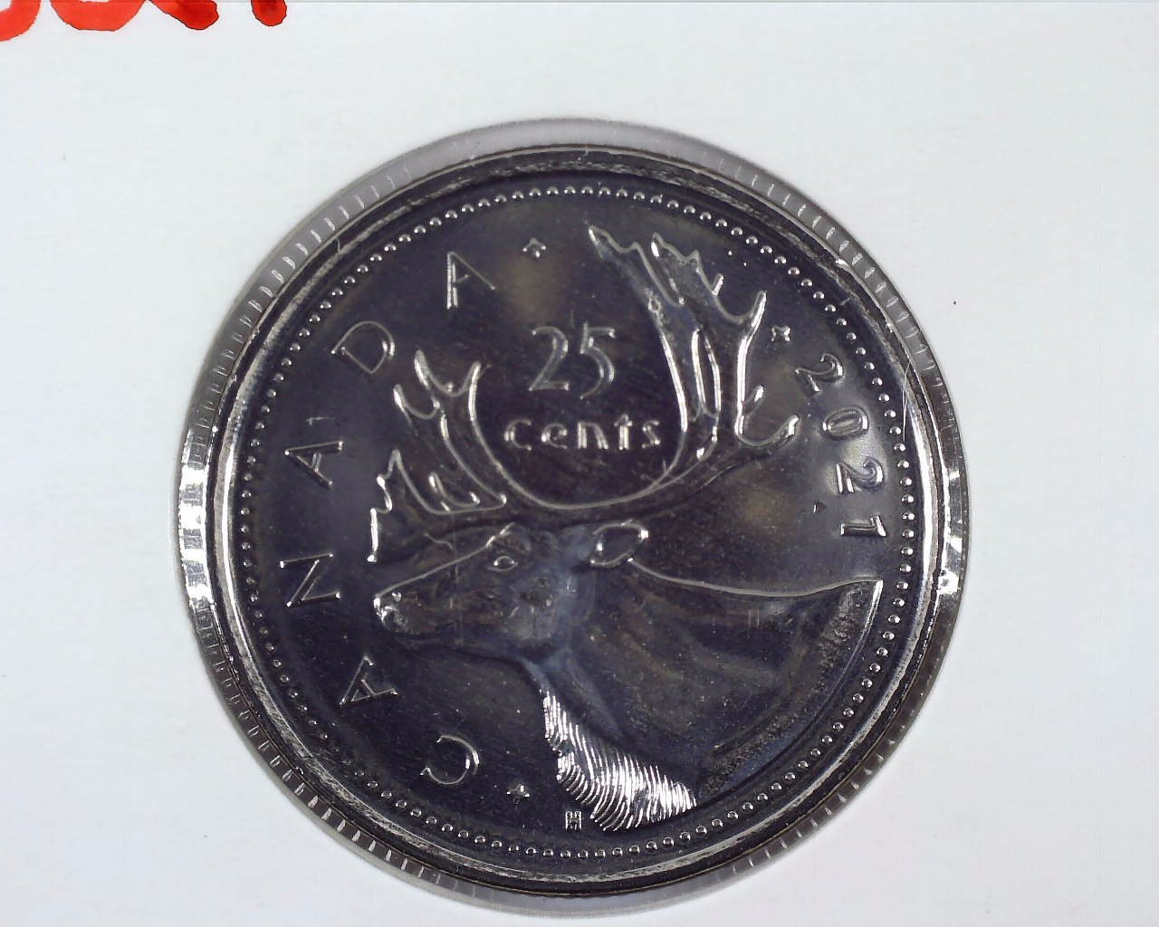 JCCAL 02350B.jpg