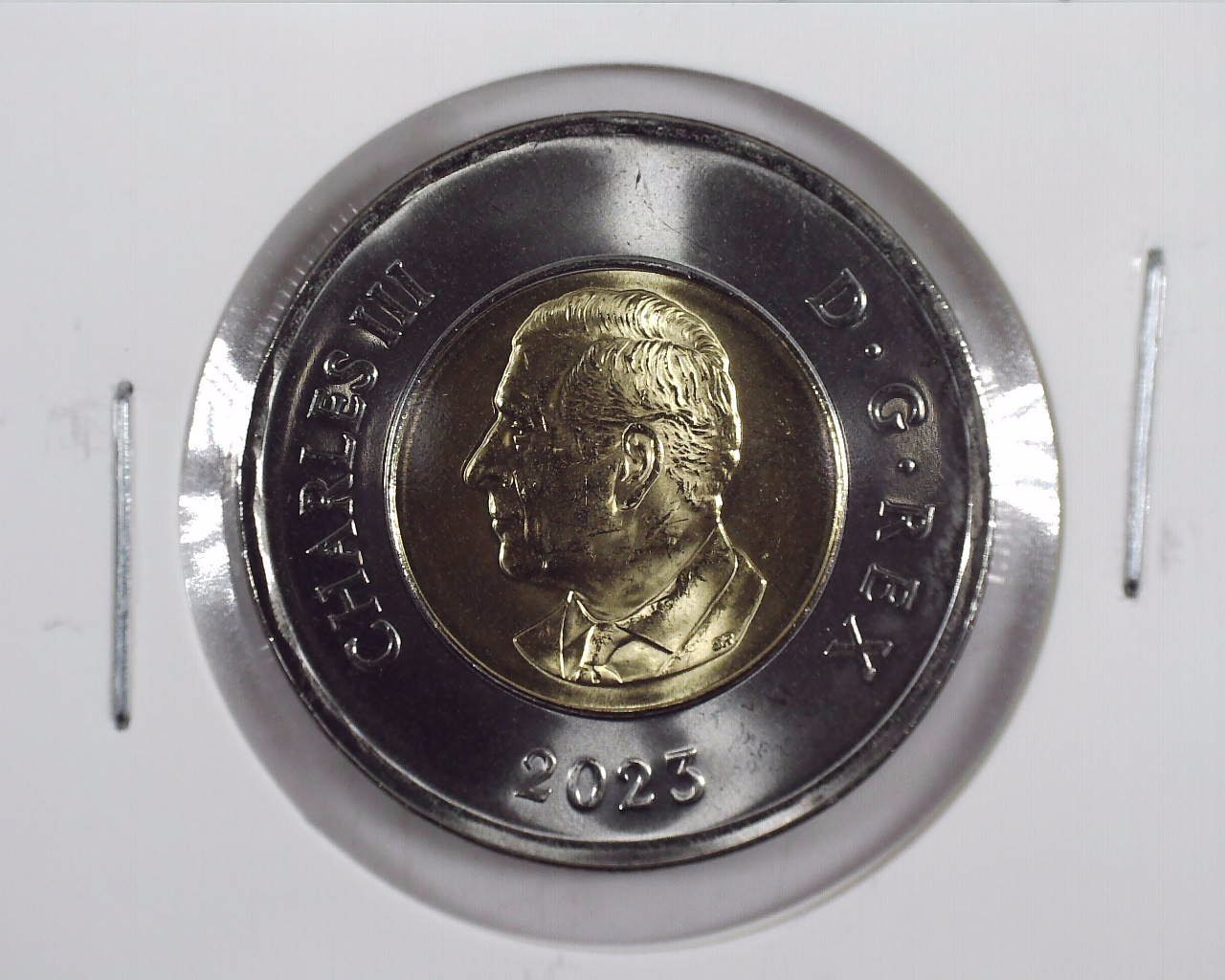 2023 T2 Canadian Toonie