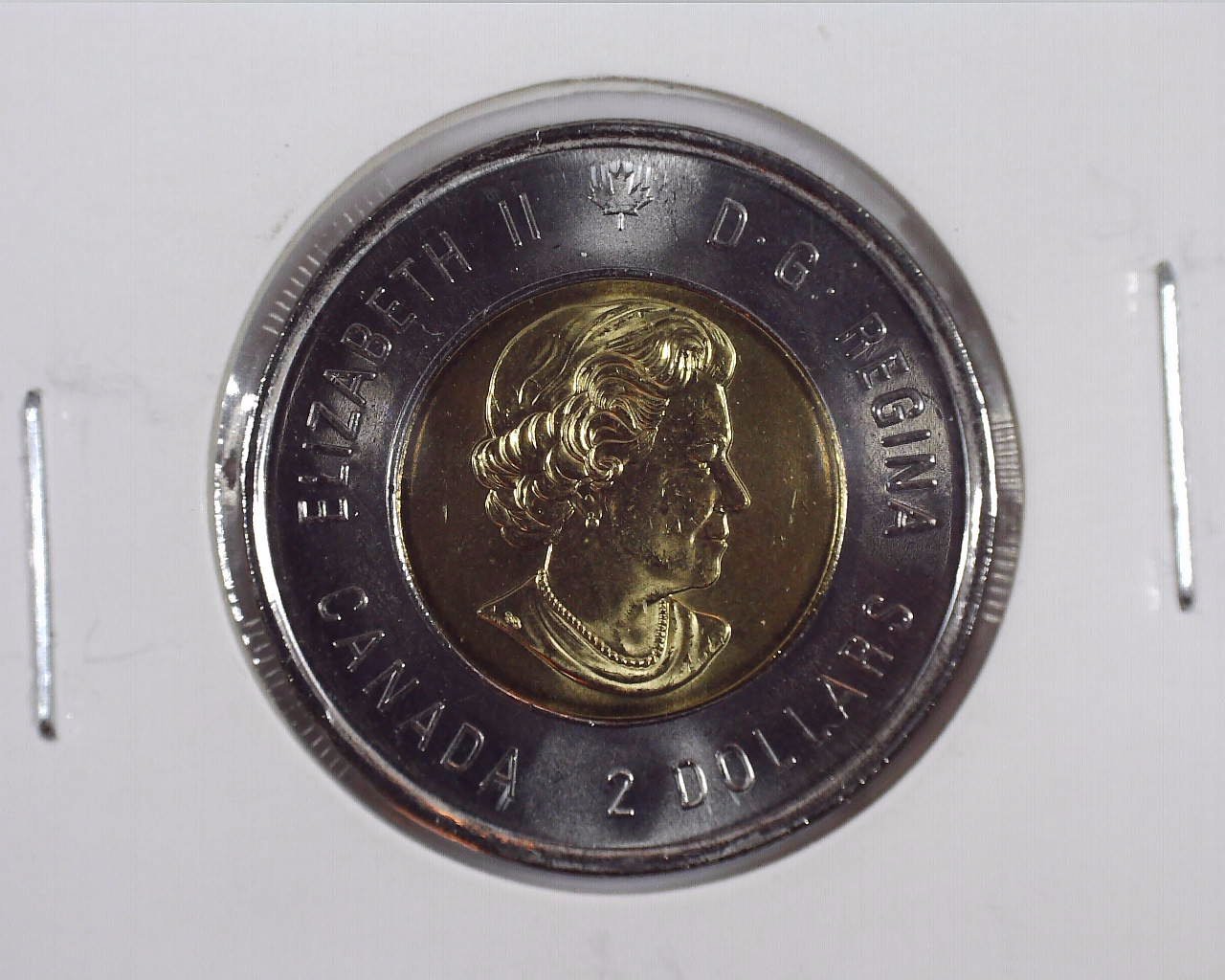 2021 T2 Canadian Toonie