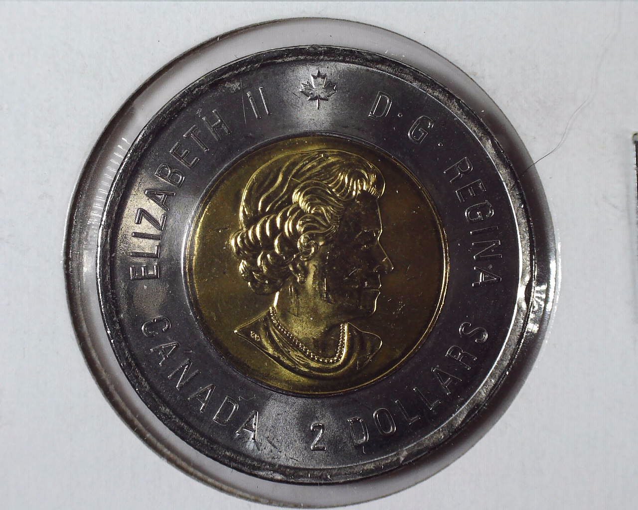 2019 Canadian Toonie