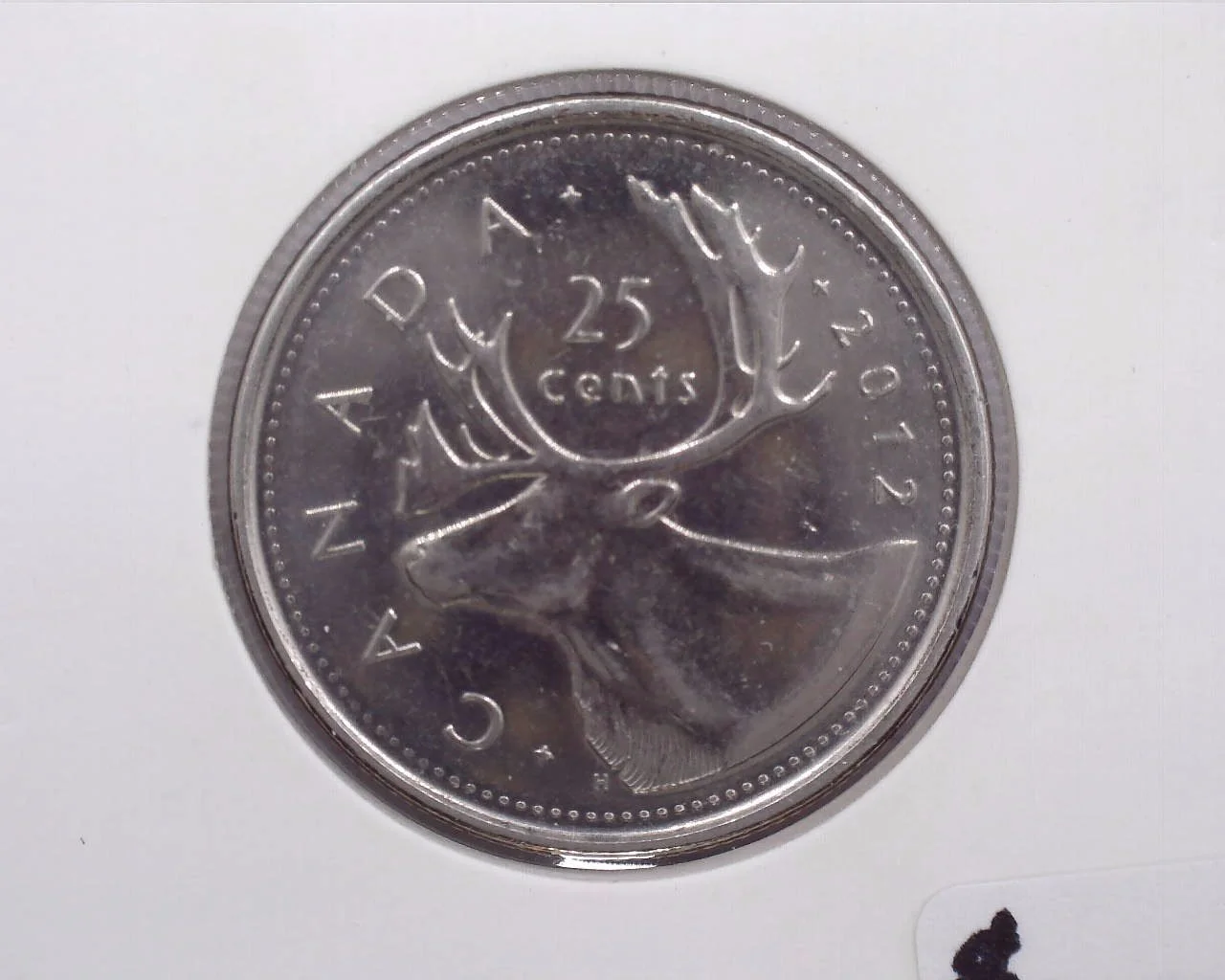 JCCAL 02305B.jpg