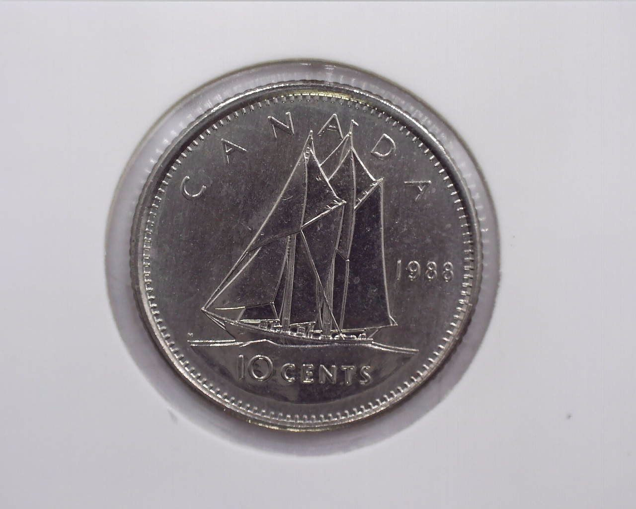 JCCAL 01016B.jpg