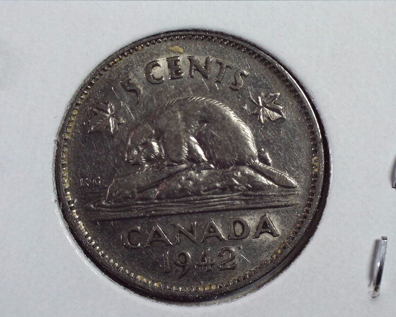 JCCAL 04316B.jpg