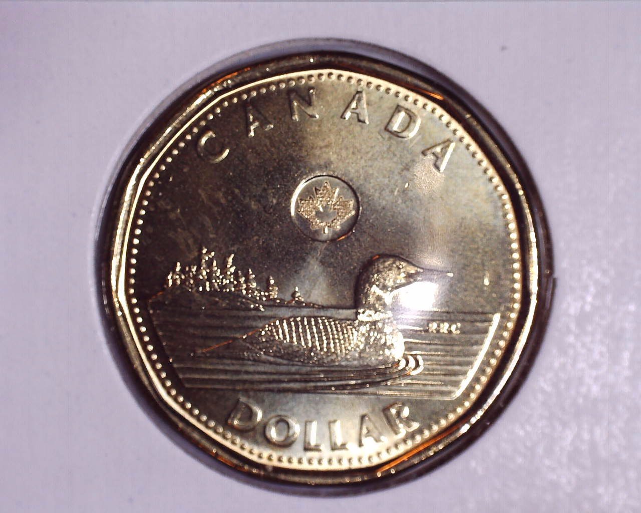 JCCAL 03554B.jpg