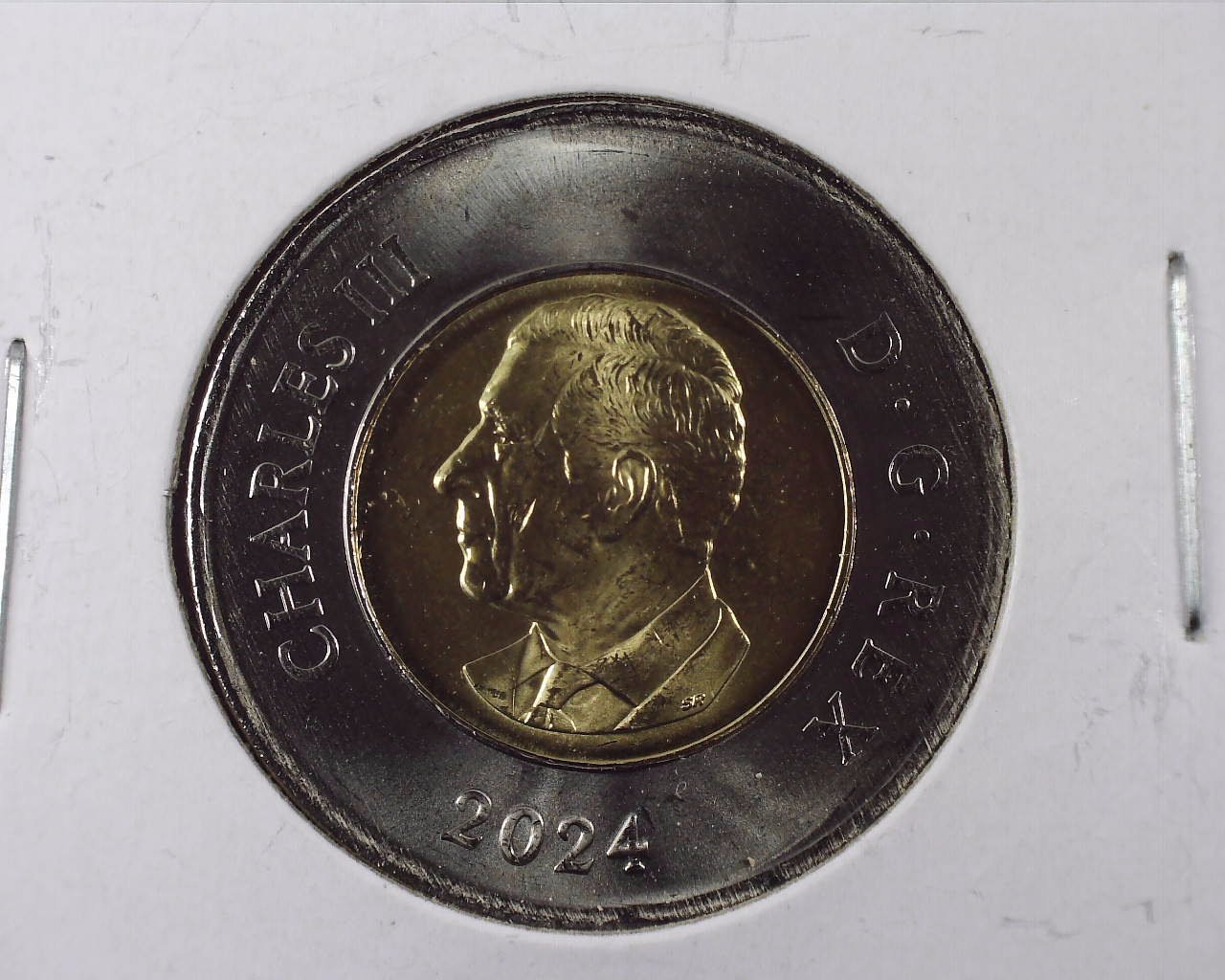 2024 Canadian Toonie T1