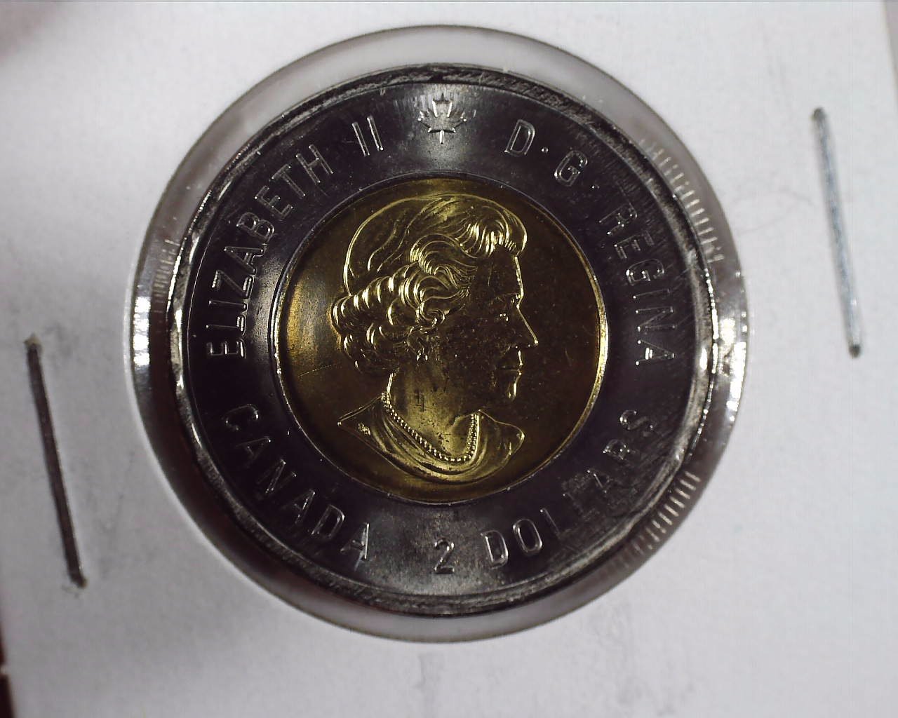 2020 T2 Canadian Toonie