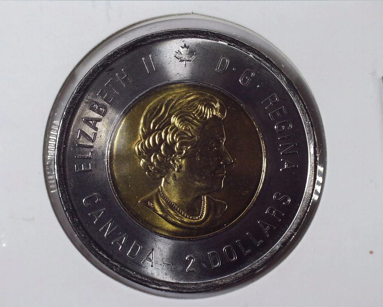 2019 Canadian Toonie