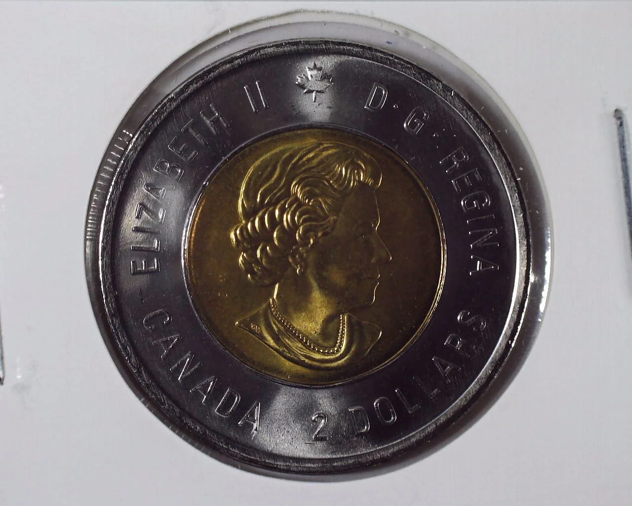 2020 Canadian Toonie