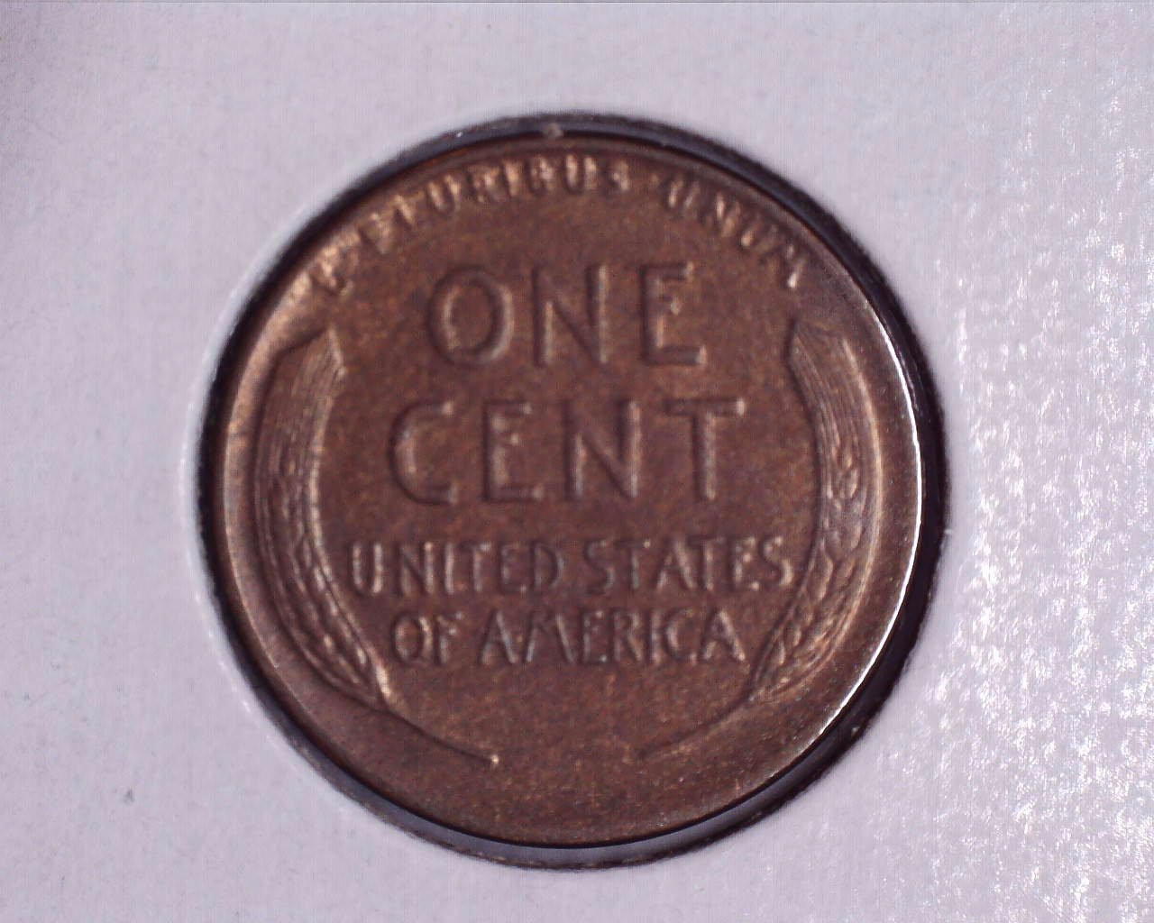 JCCAL 04014B.jpg