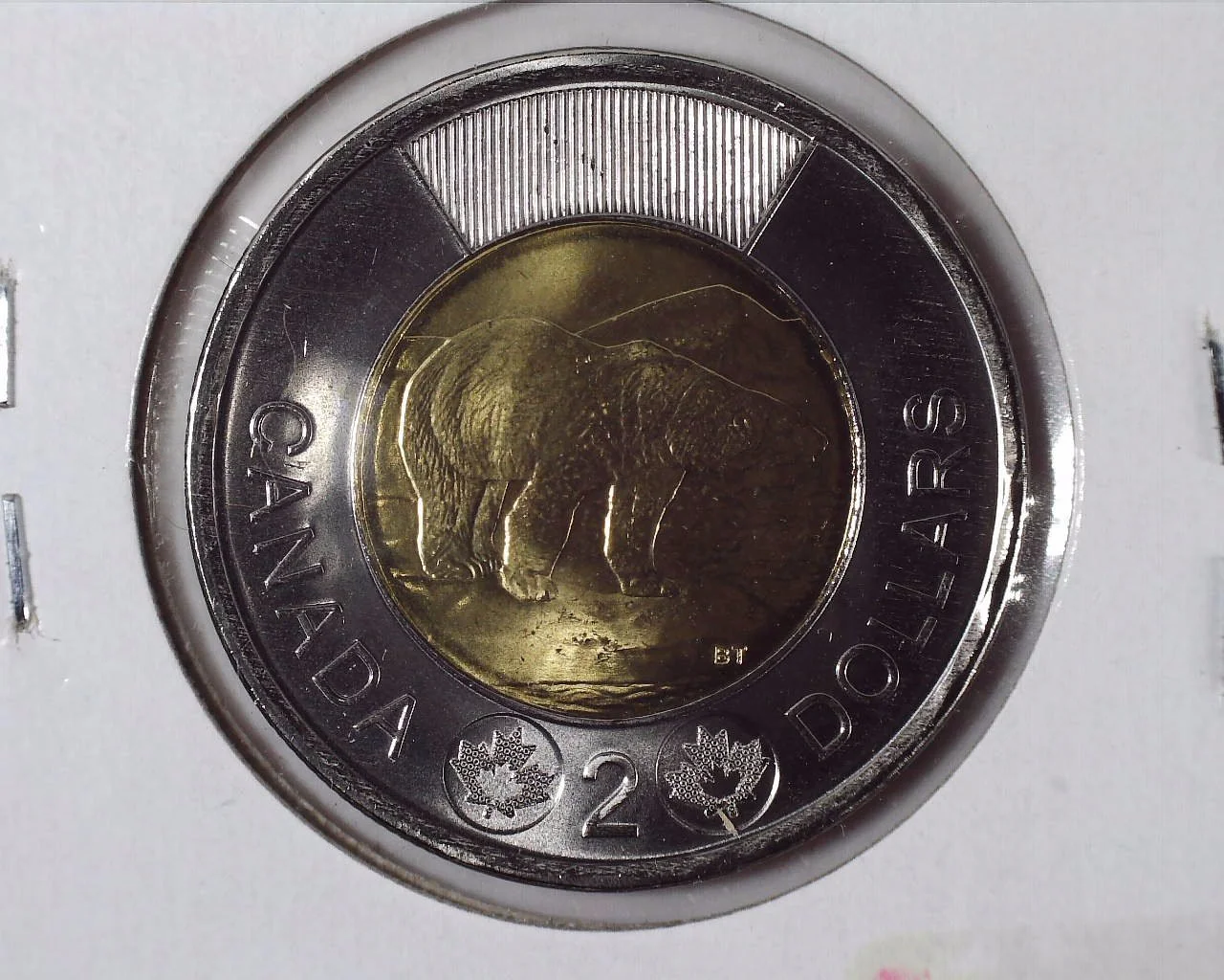 JCCAL 01661B.jpg